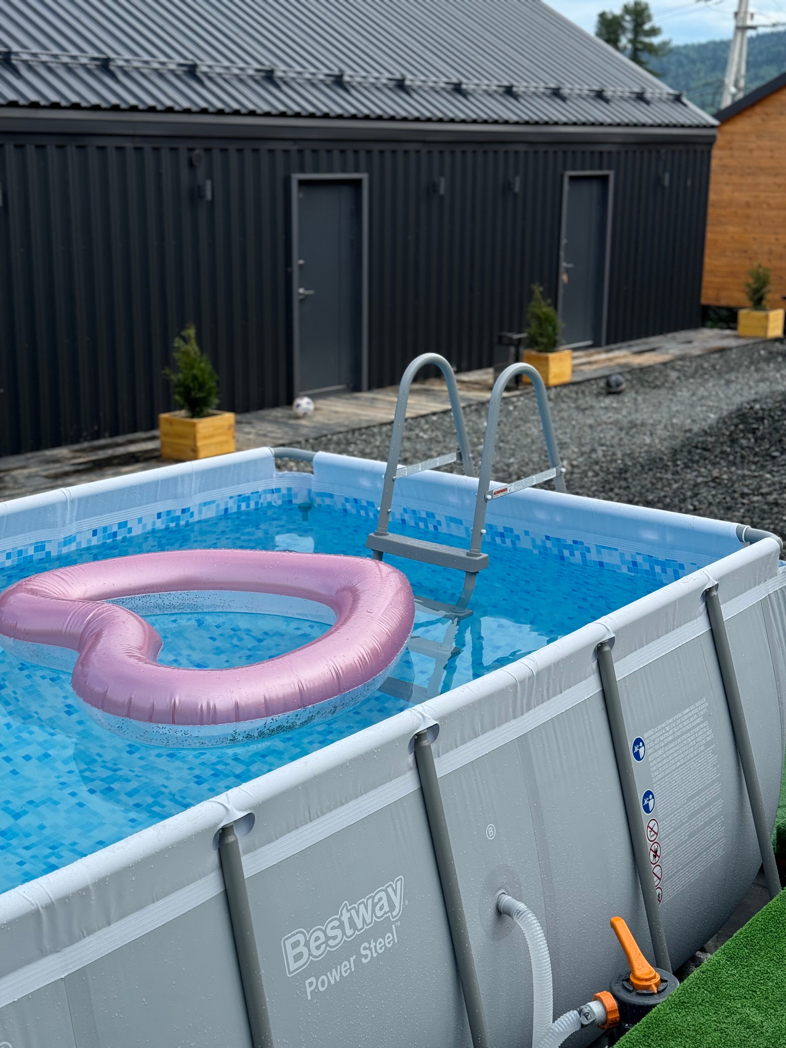 Фото Еловый лис