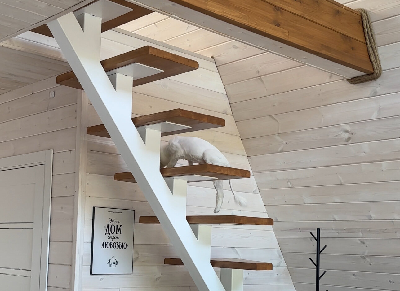 Фото 219120696027