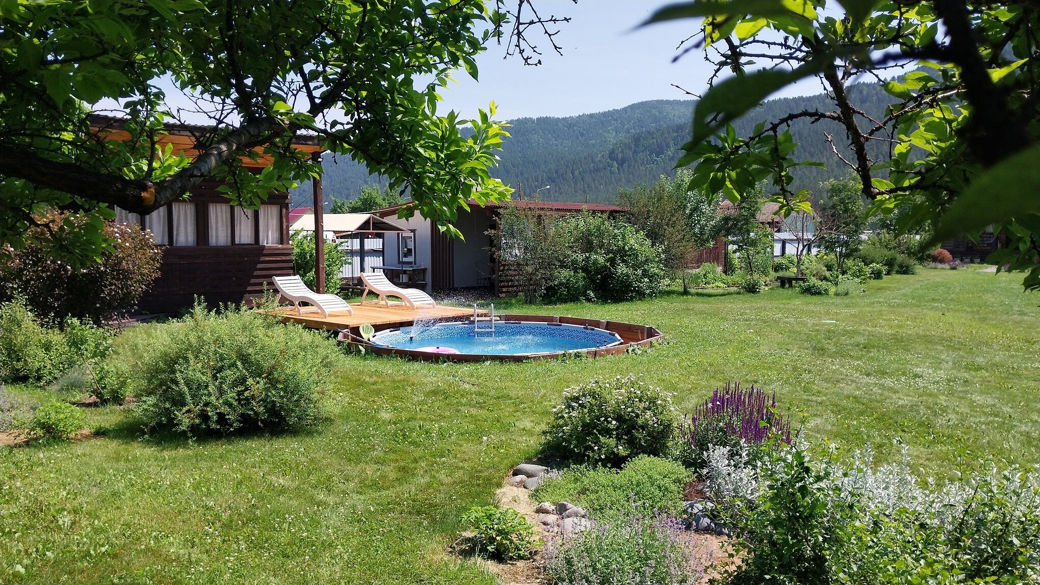 Фото Люминица