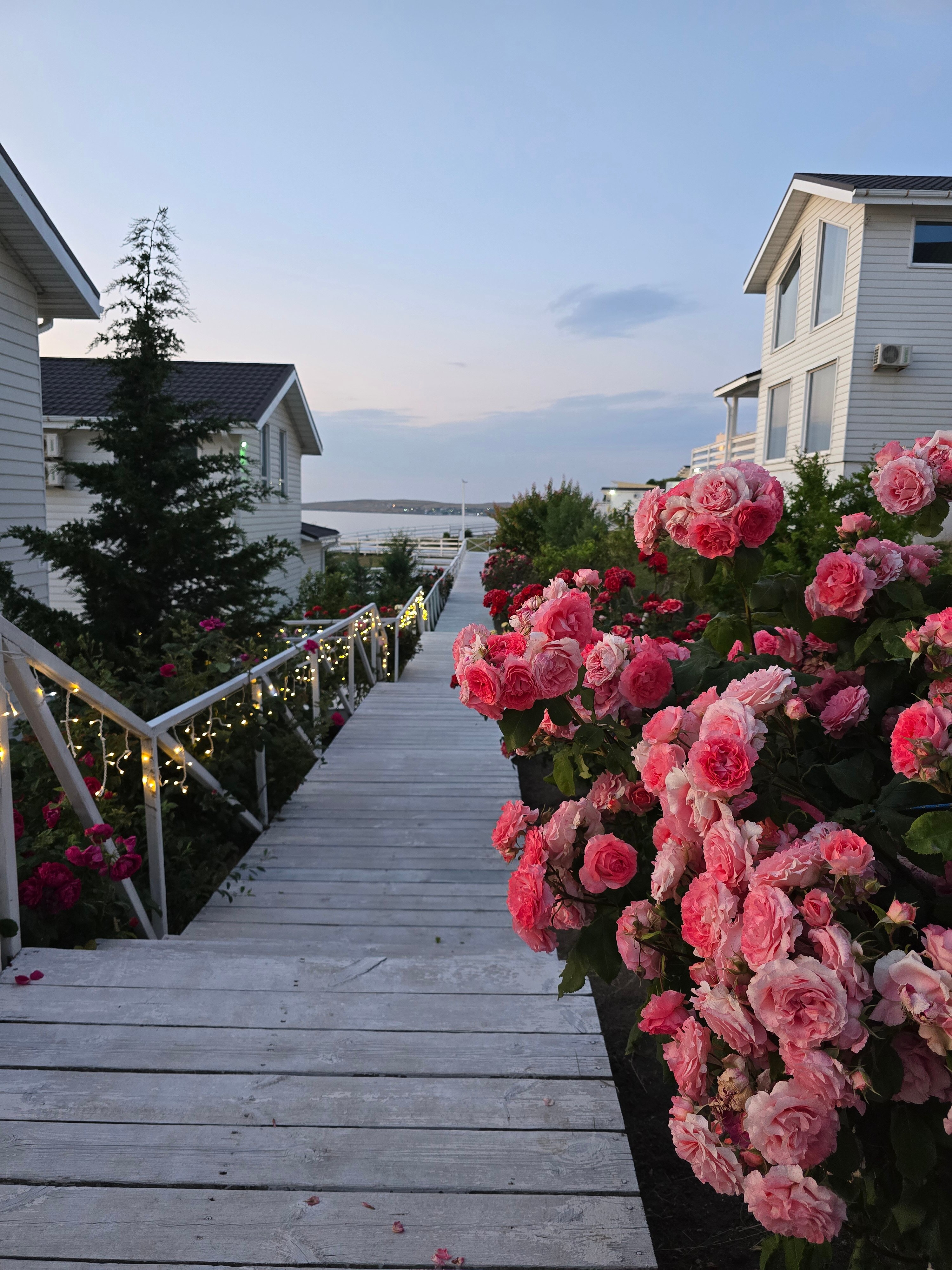 Фото Морская Резиденция