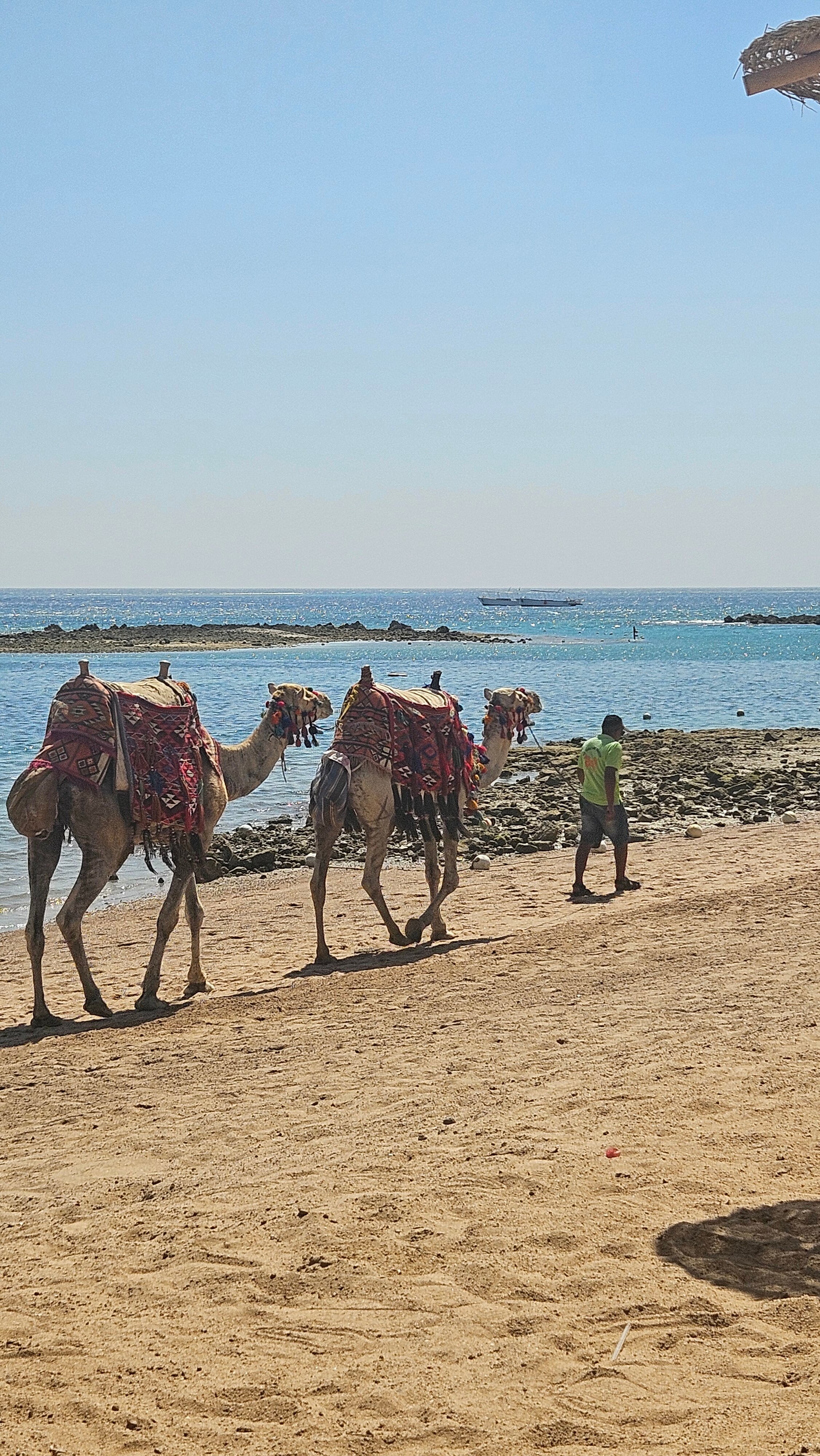 Фото Jaz Makadi Saraya Resort