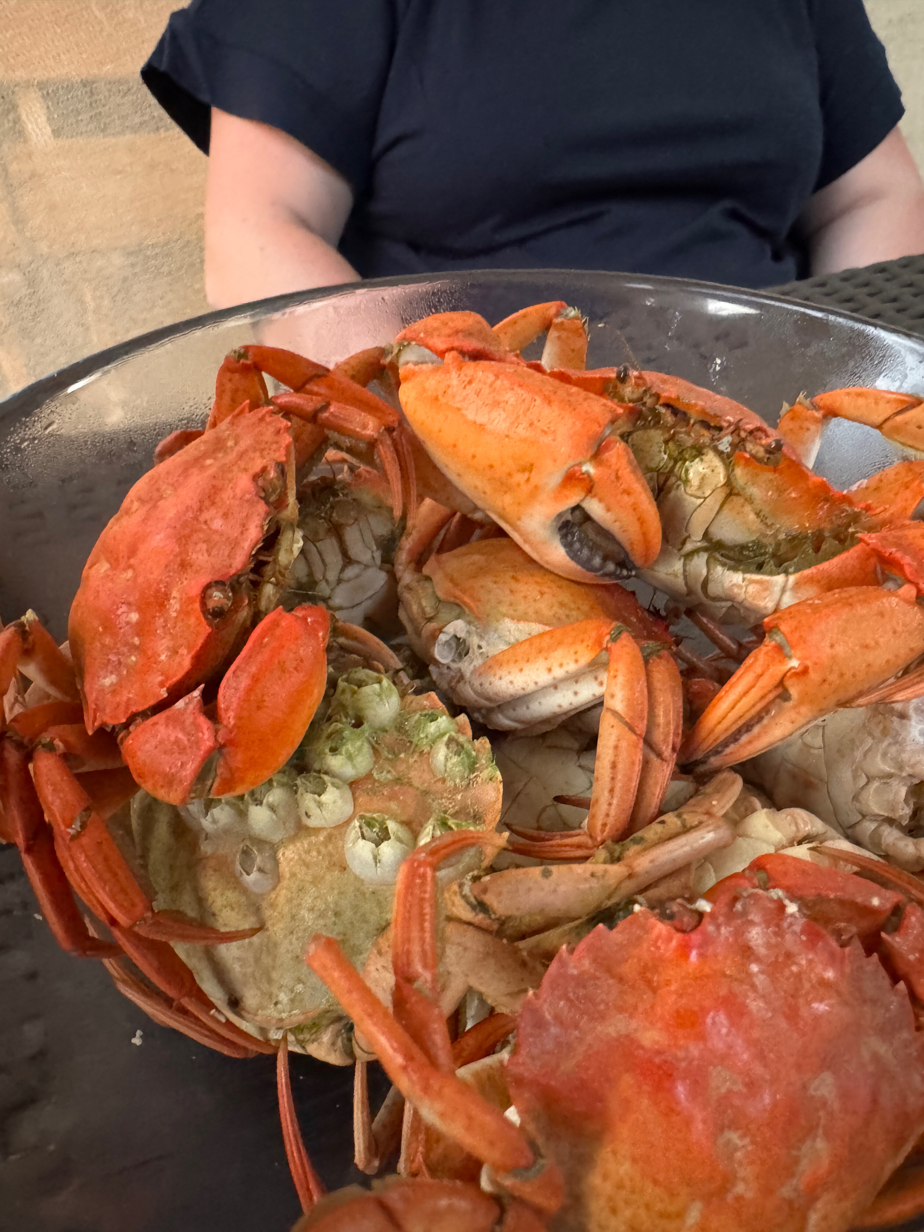 Фото Меандр