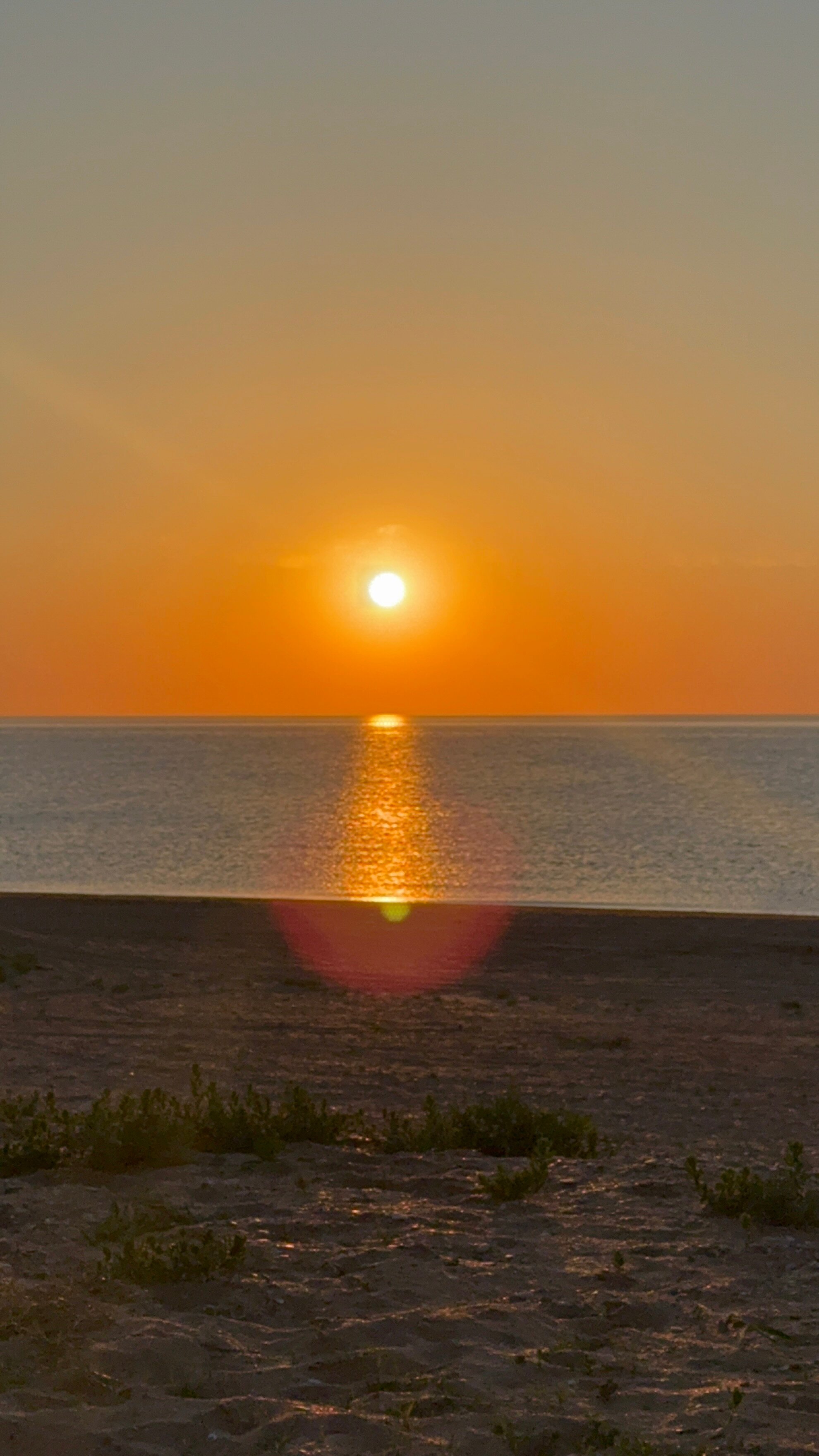 Фото Электра Холидей