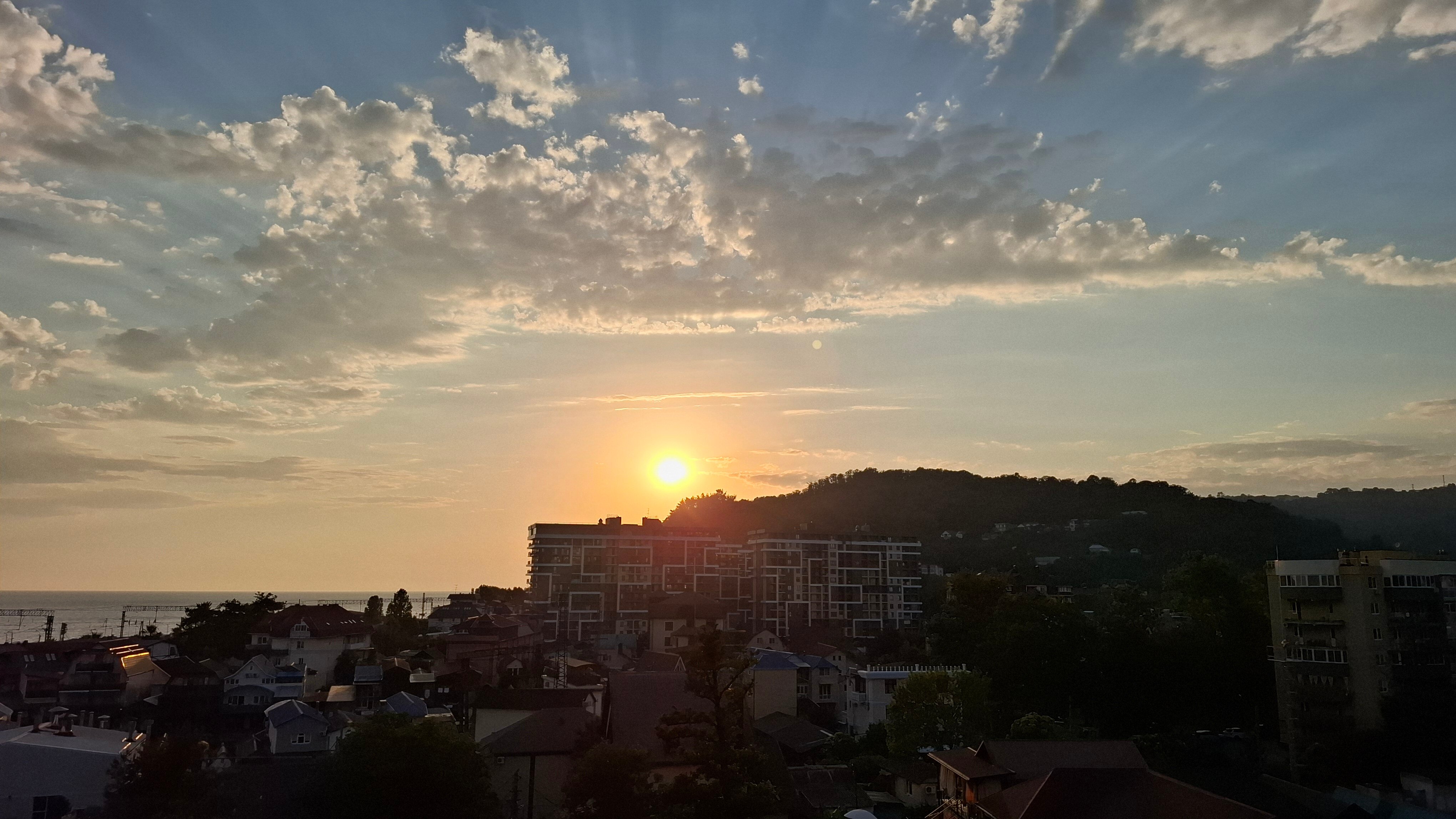 Фото Дельфин