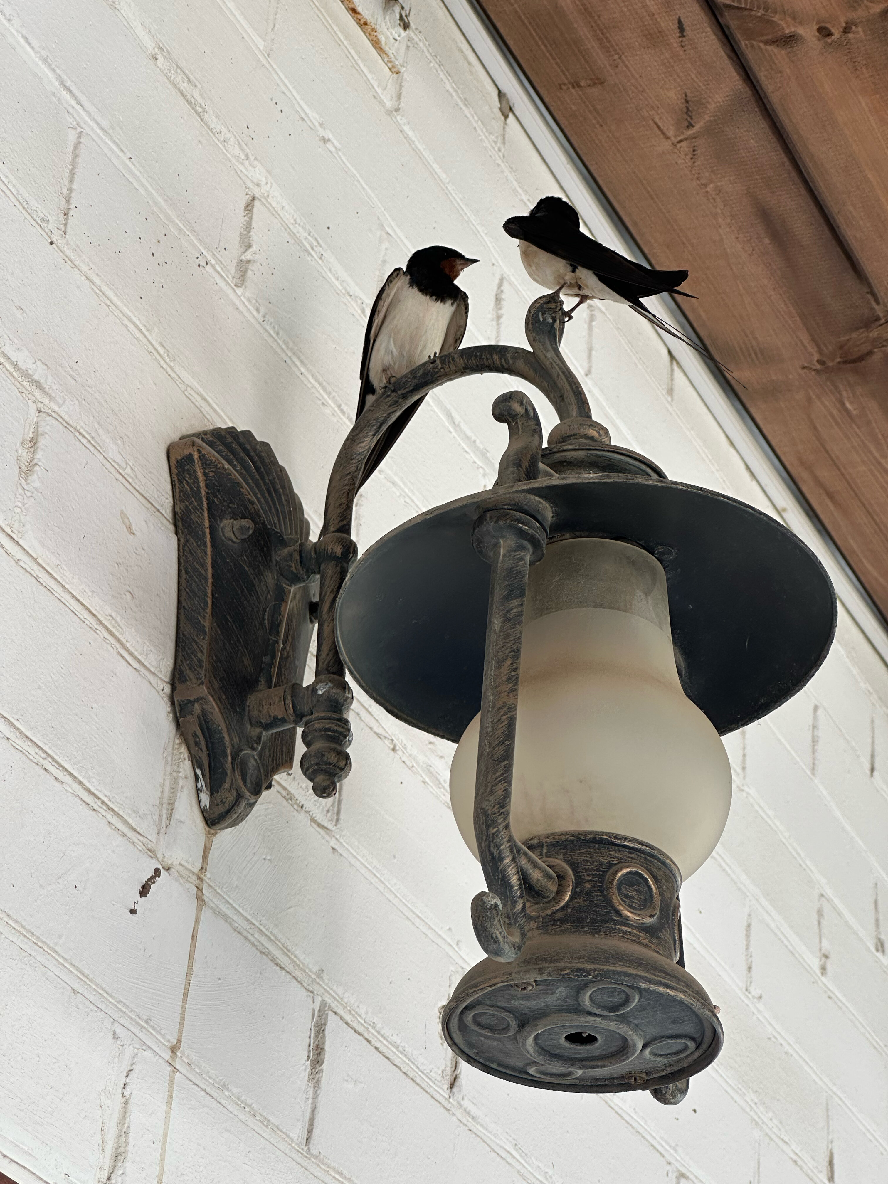 Фото Атаманский двор