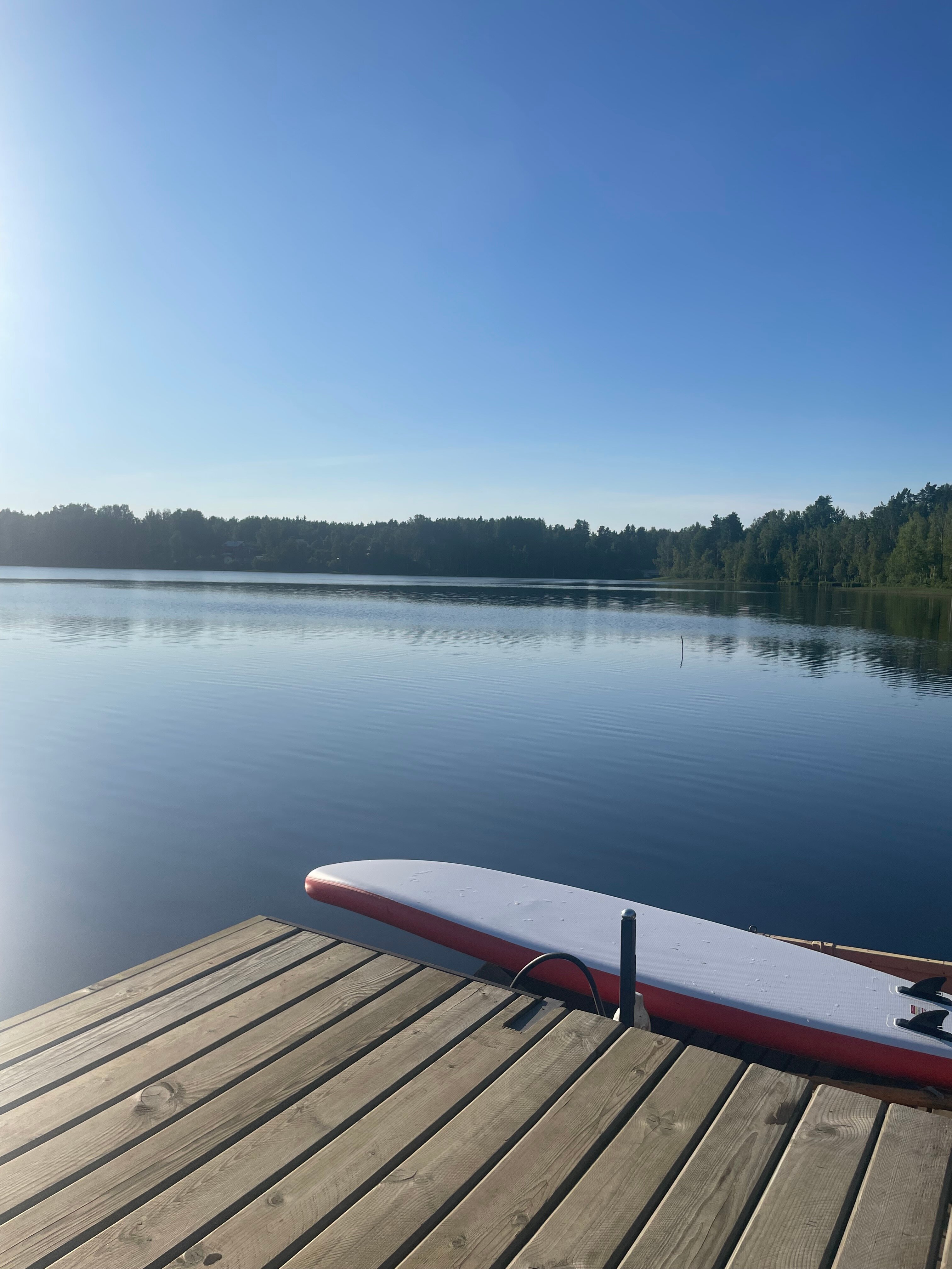 Фото Ласточкино гнездо