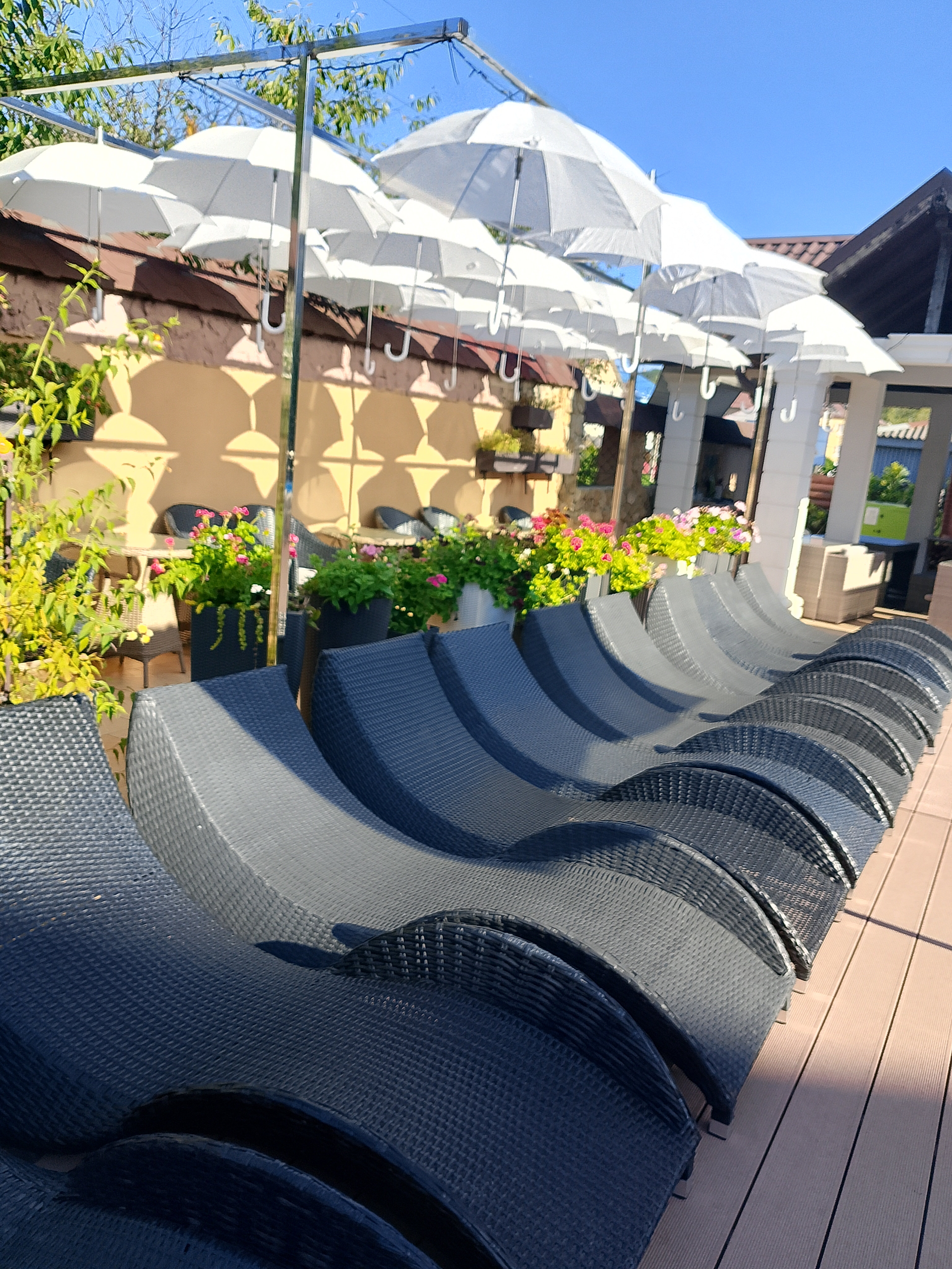 Фото Димерчи