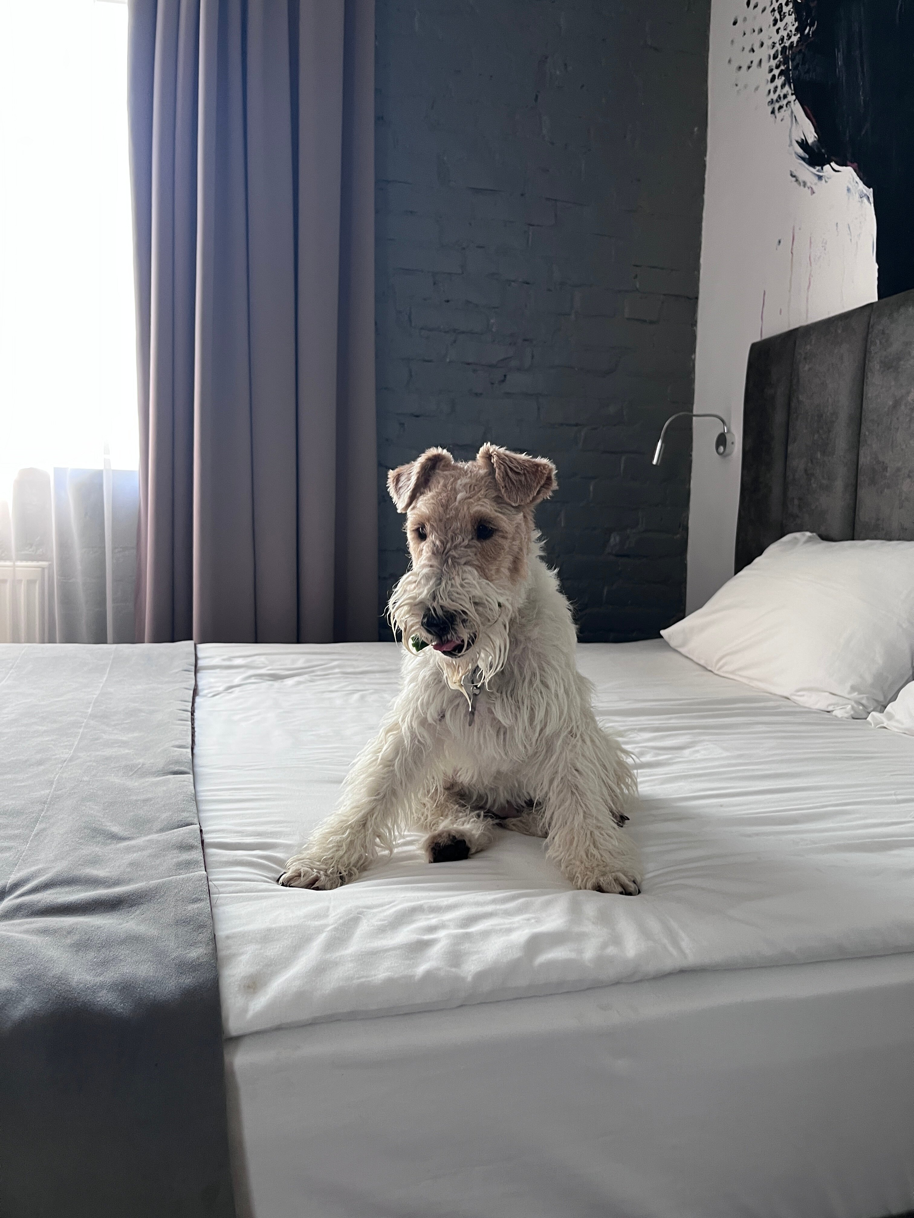 Фото Городской Бутик