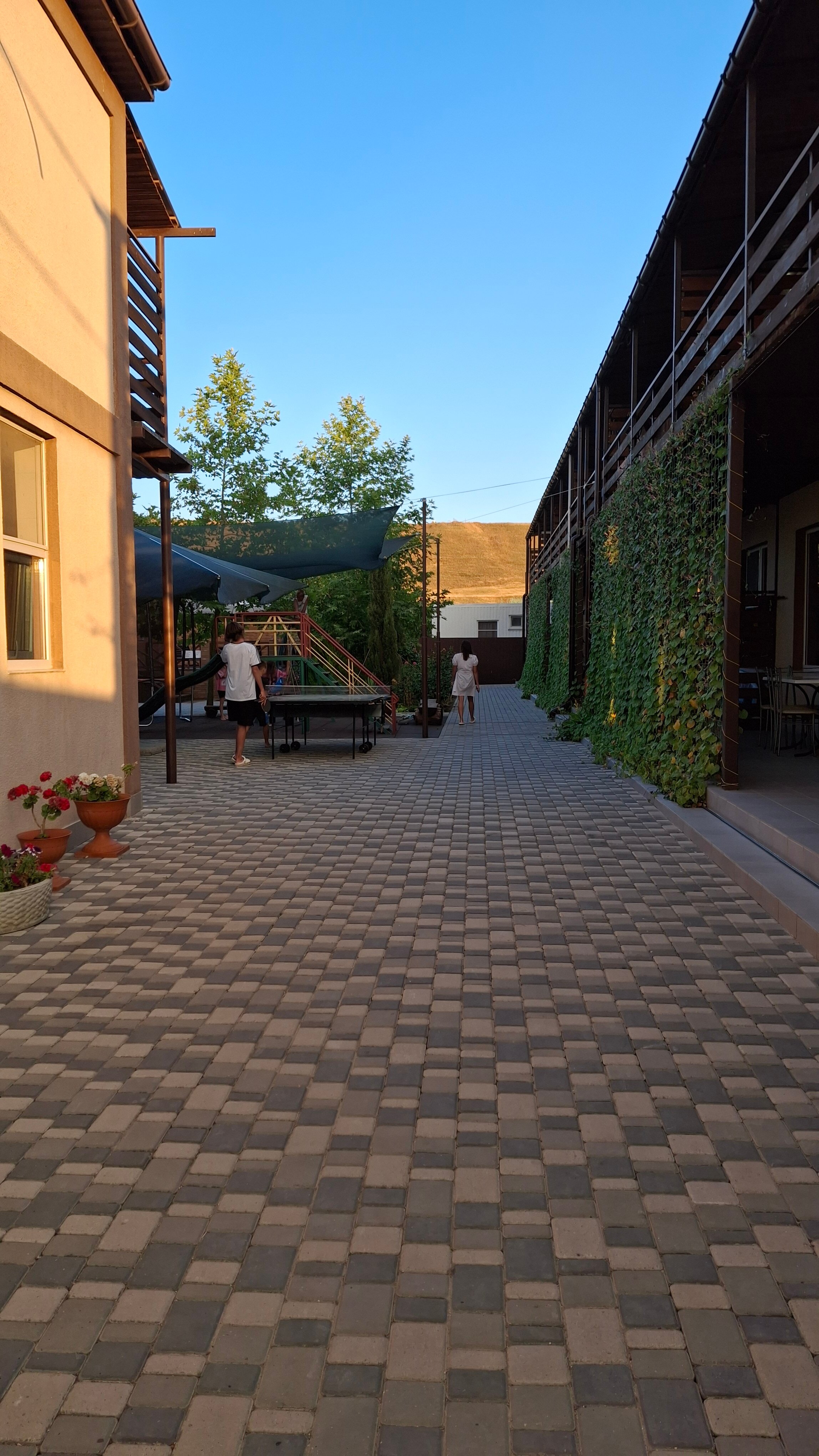 Фото Солнечный