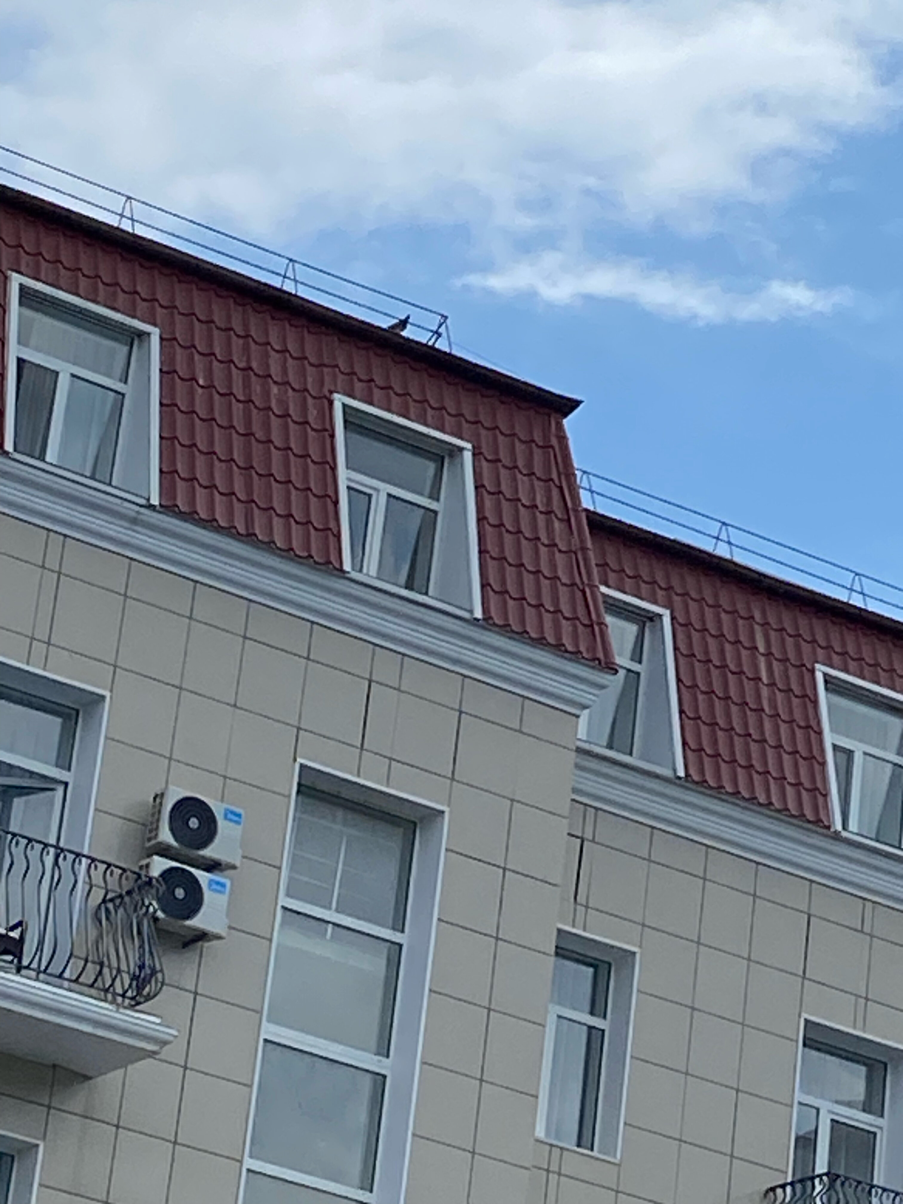 Фото Отель Палас