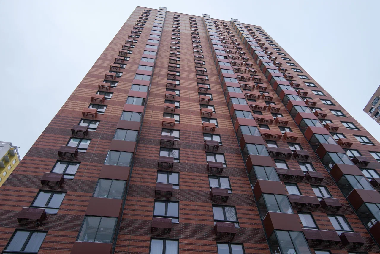 Фото Степаненков