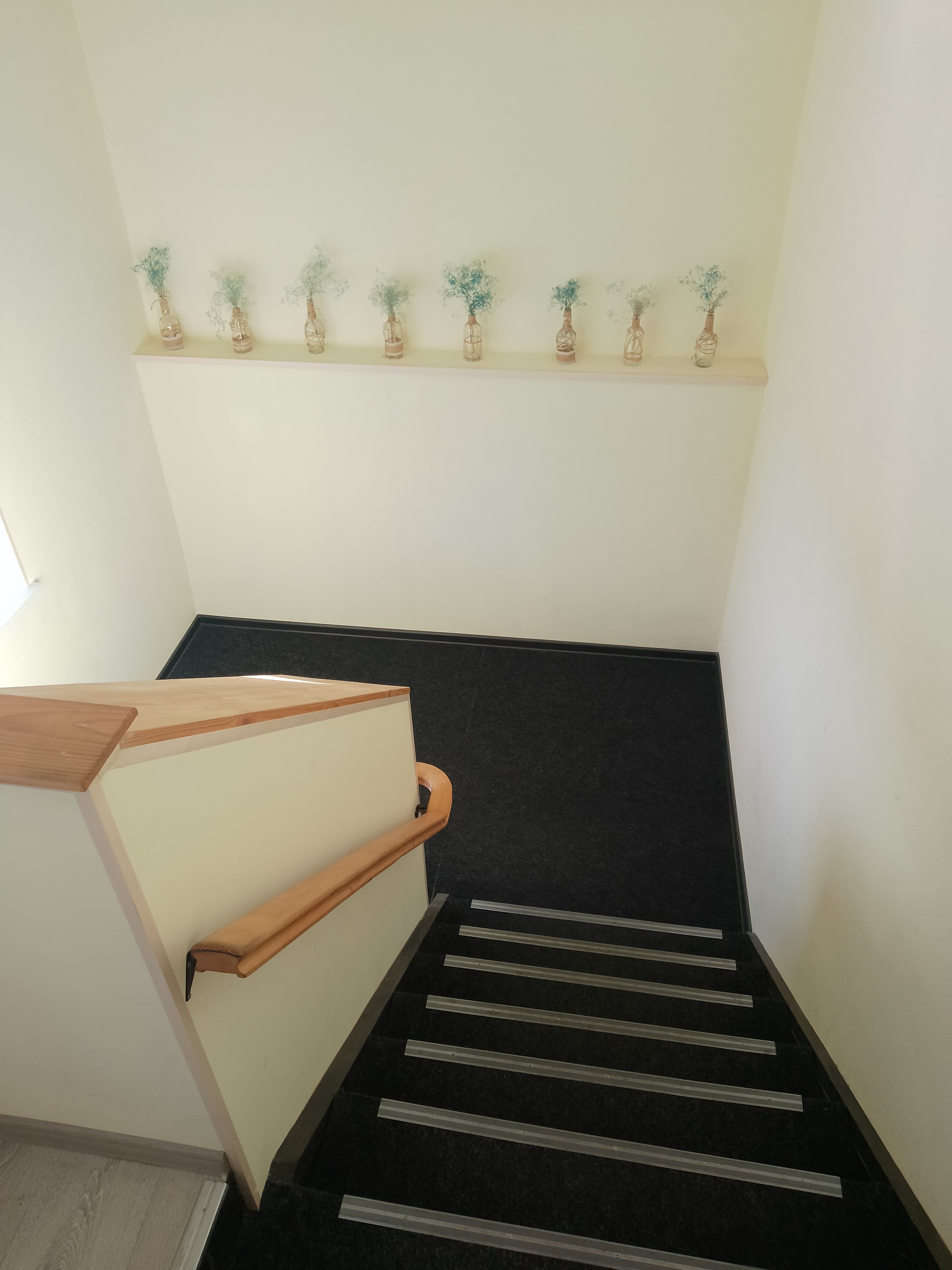 Фото Зодиак