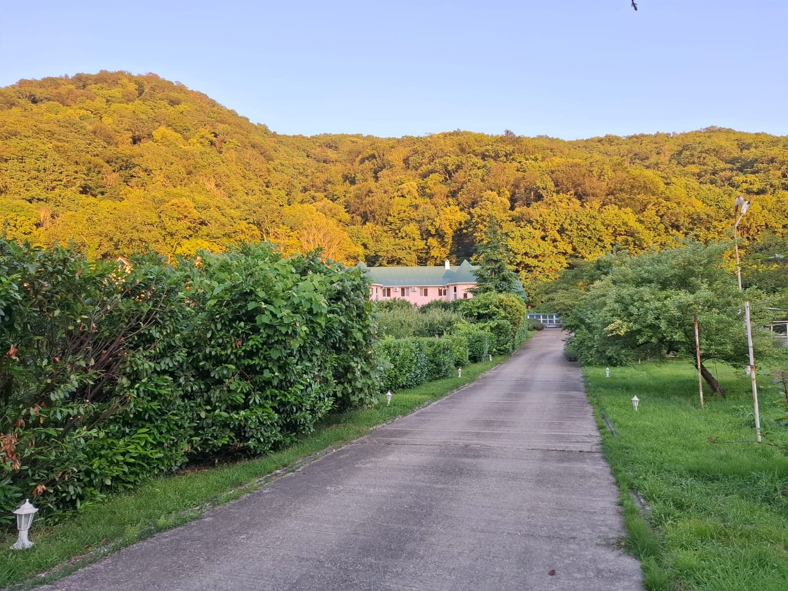 Фото Отрада