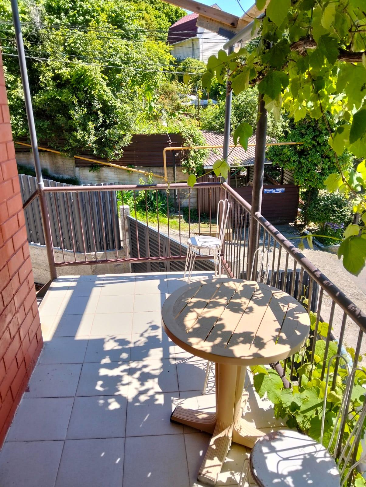 Фото Под пальмой