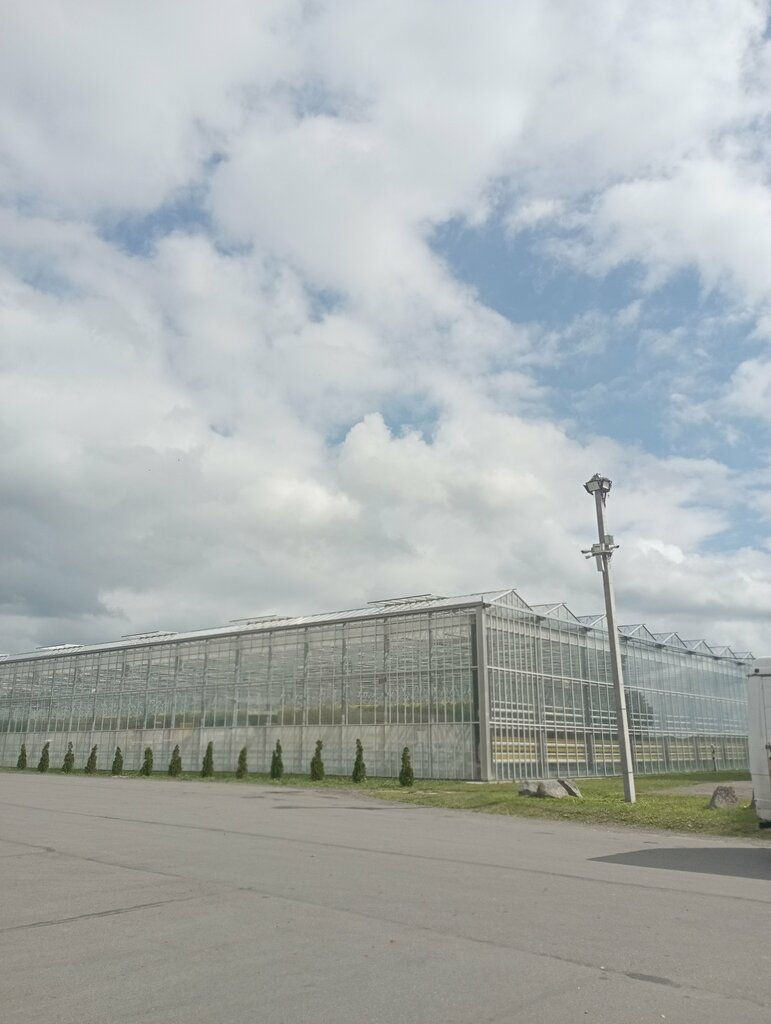 Agricultural enterprise Orbita-Agro, Kaliningrad Oblast, photo