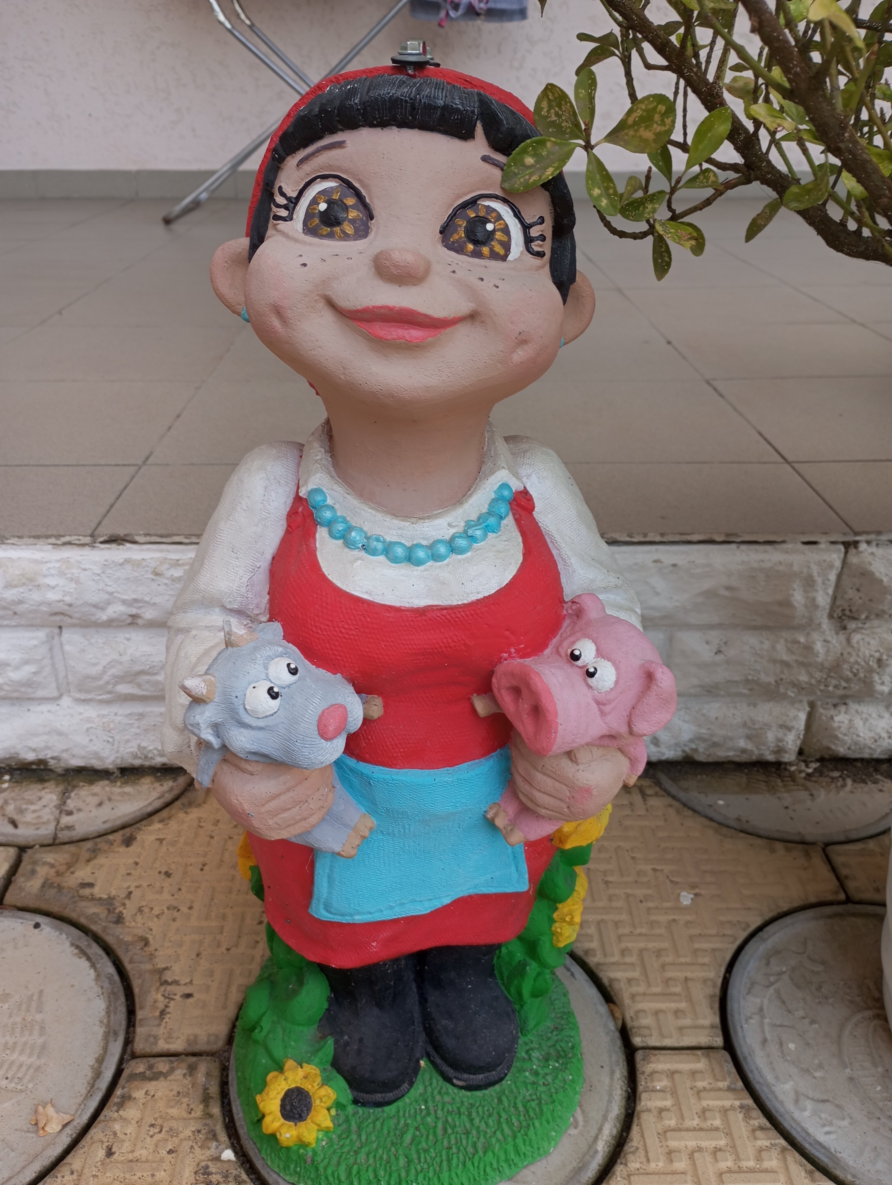 Фото Платан