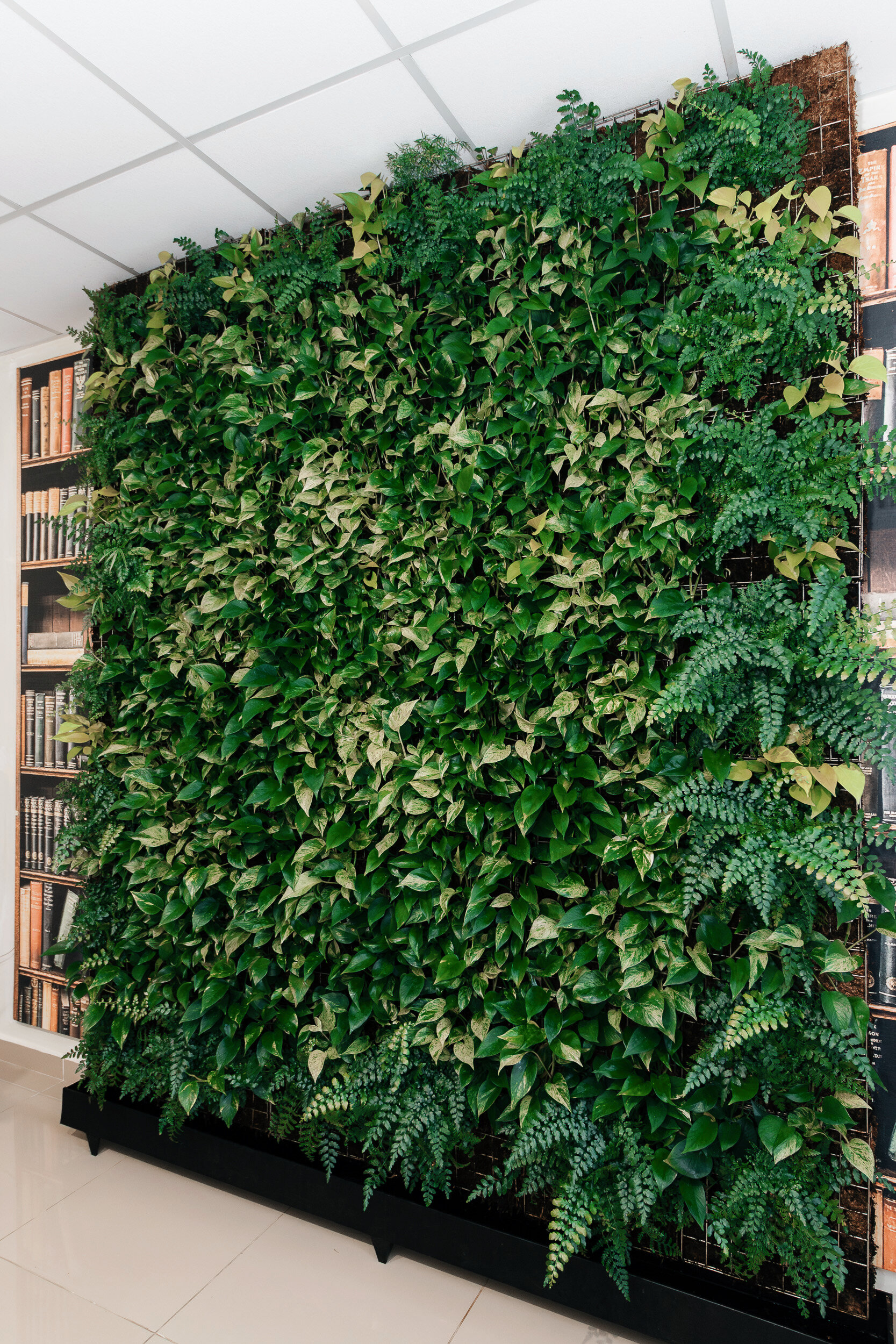 Фото Континенталь Green Dream