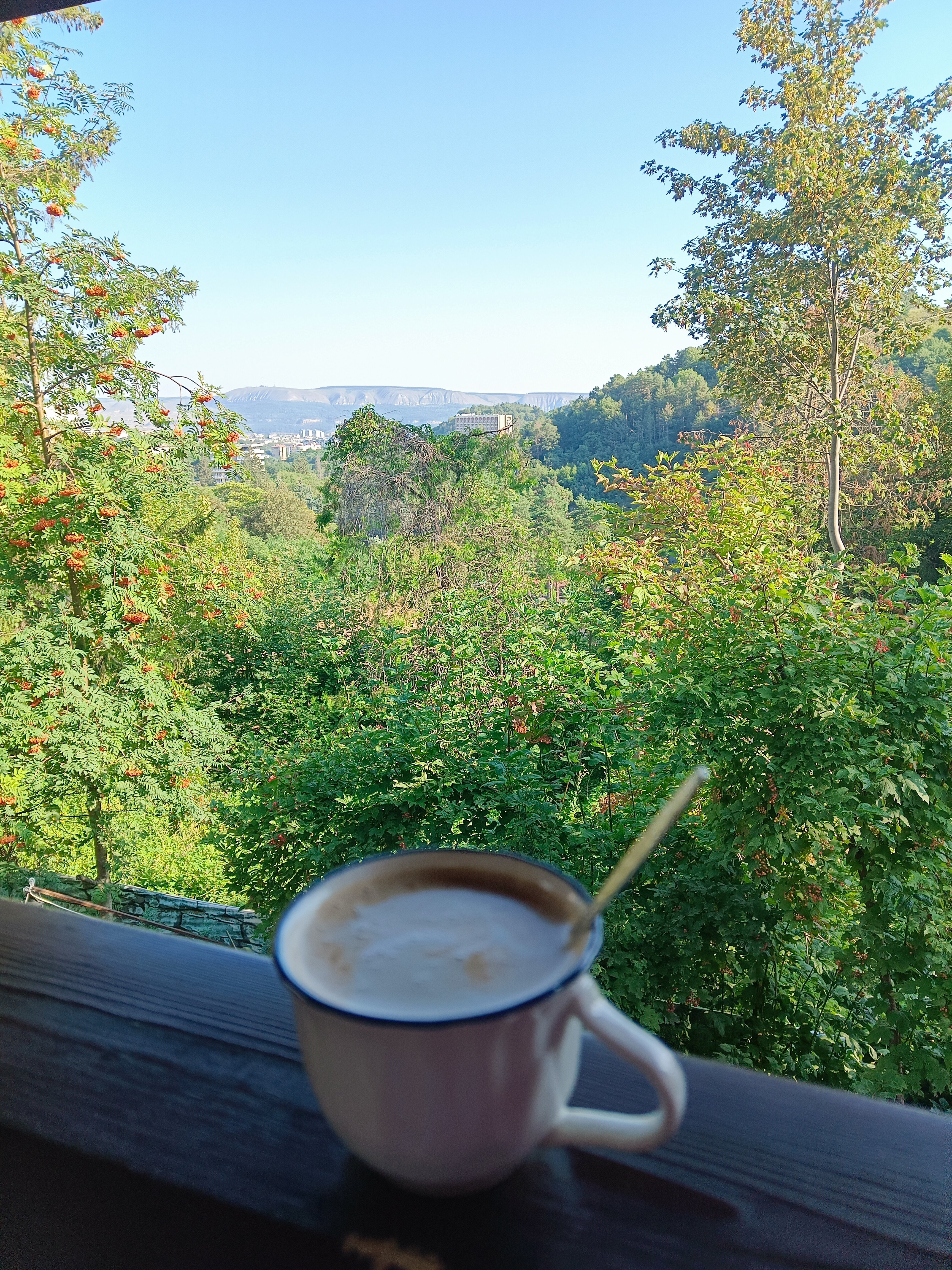 Фото Золотой Гусь