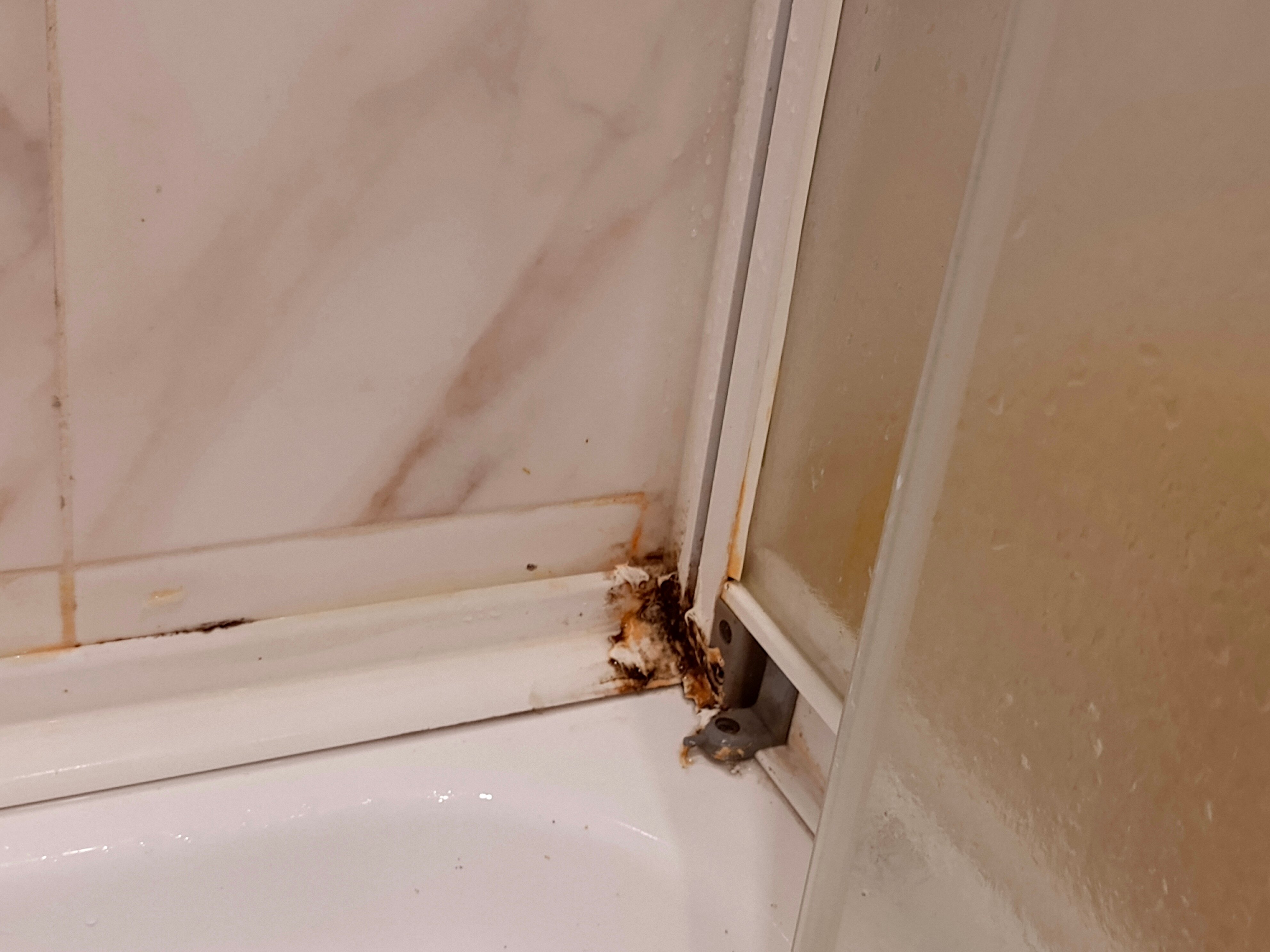 Фото Ангелина