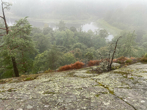 Артқы жағындағы порно: жіңішке бел және үлкен жопа