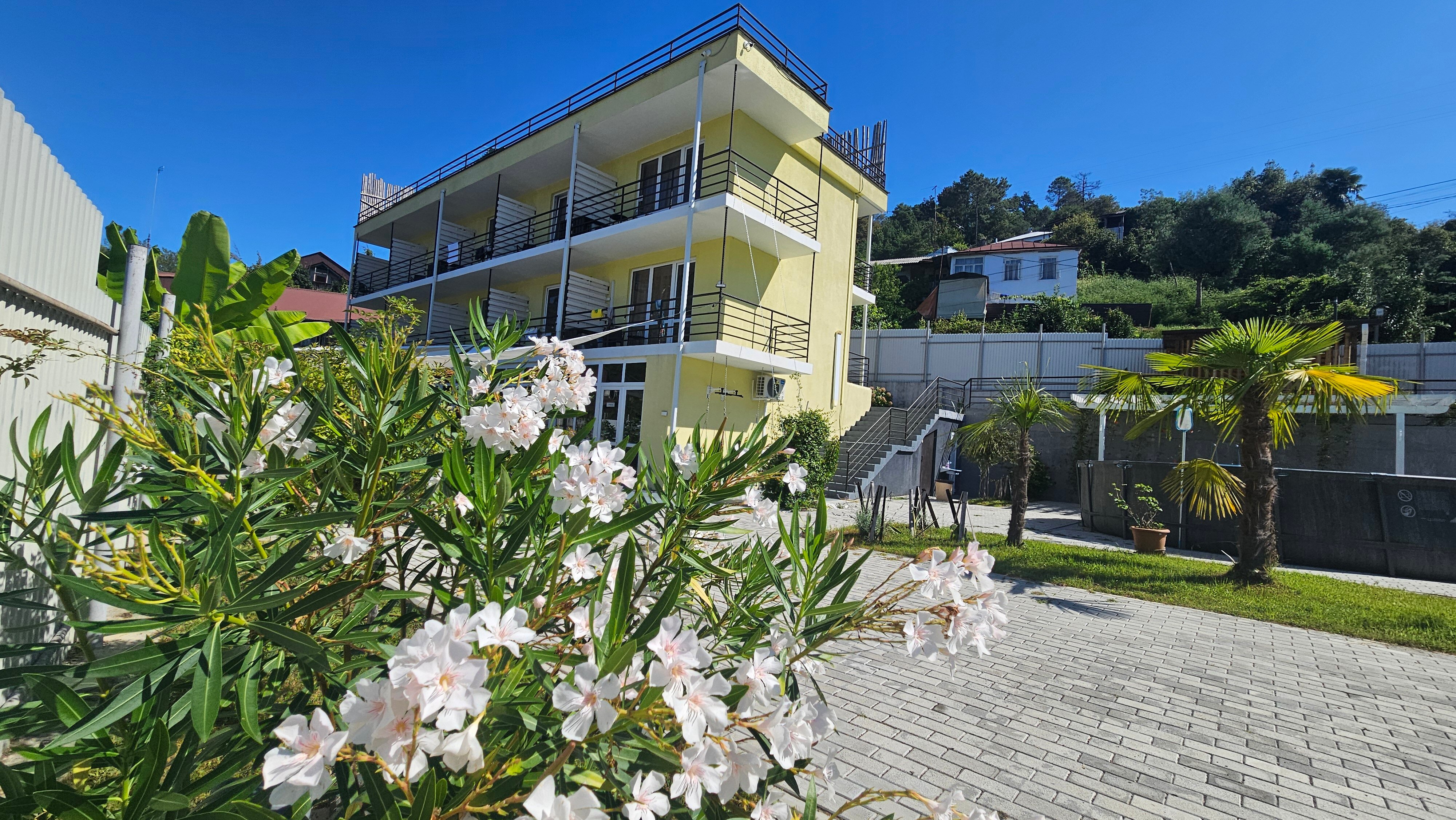 Фото Лимончелло