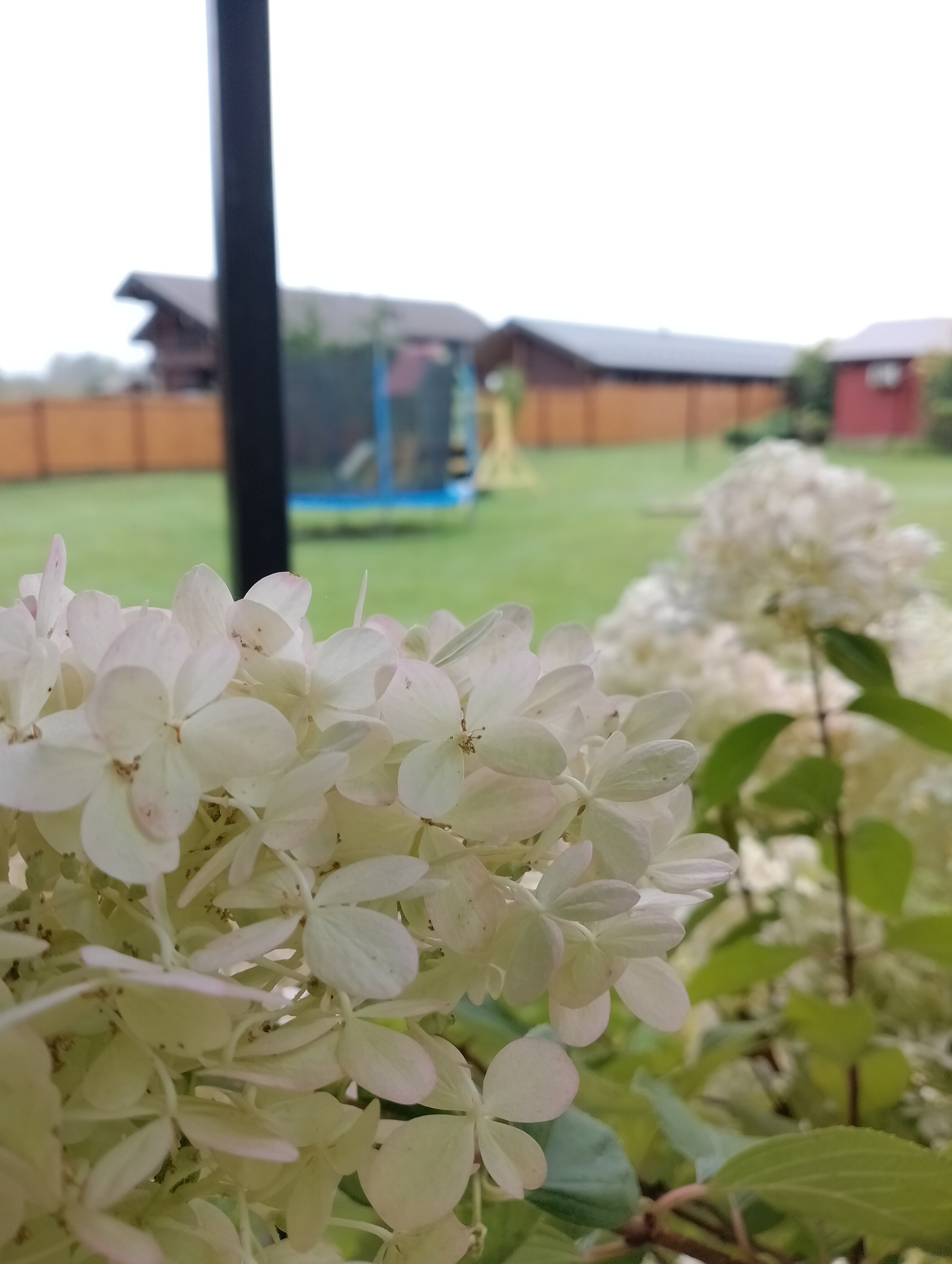 Фото Солнечный дом