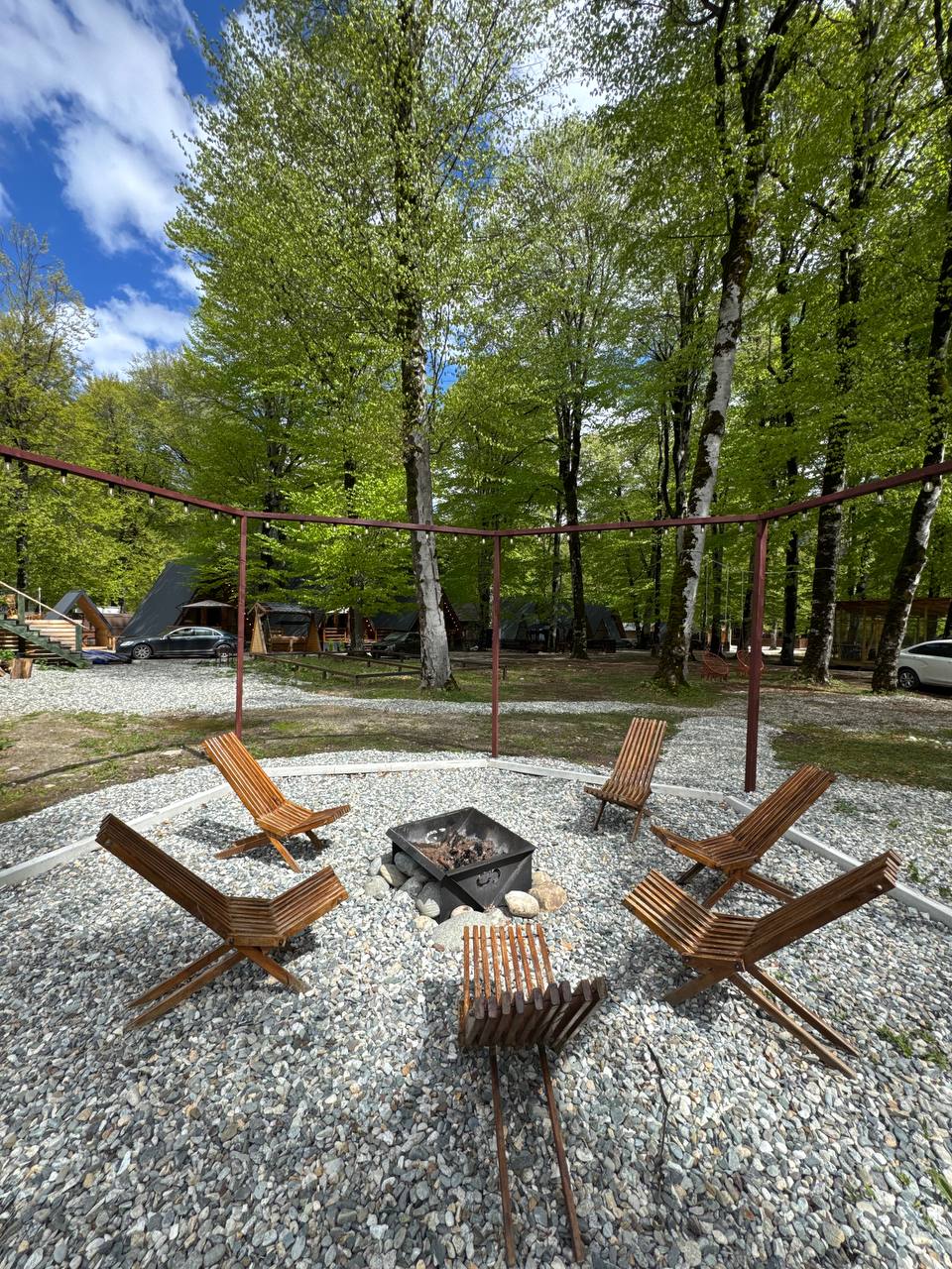 Фото Лесная Гармония