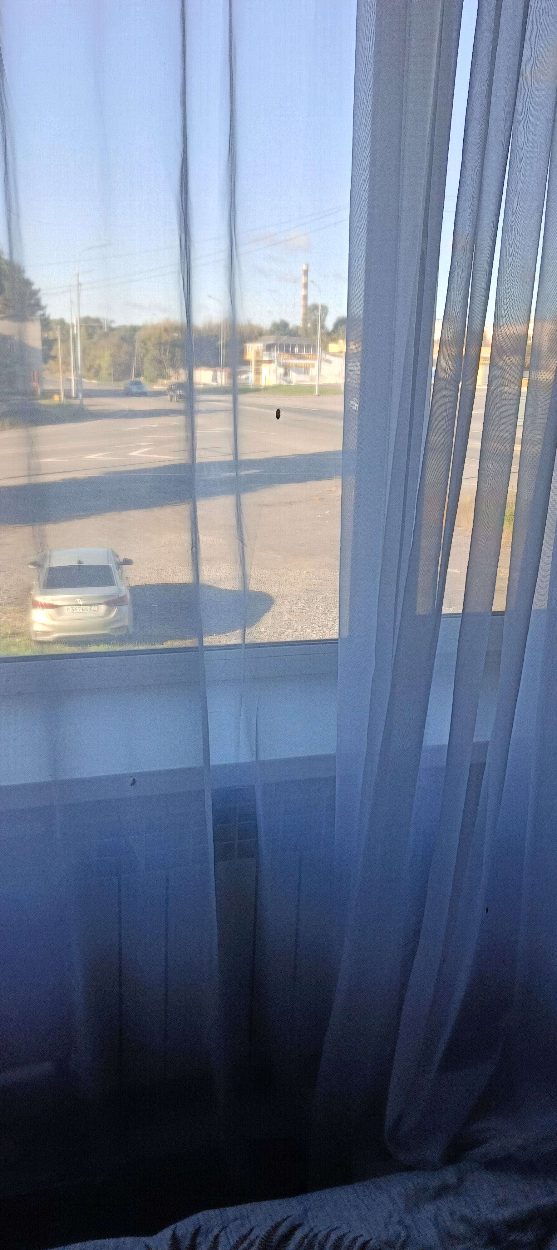 Фото Магнолия