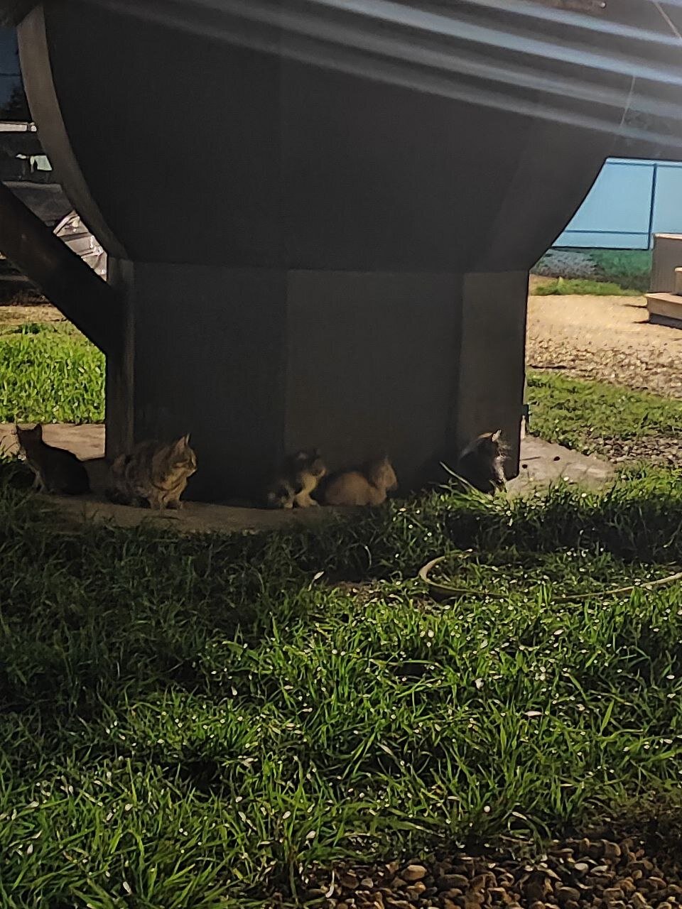 Фото Hashtuk Frame