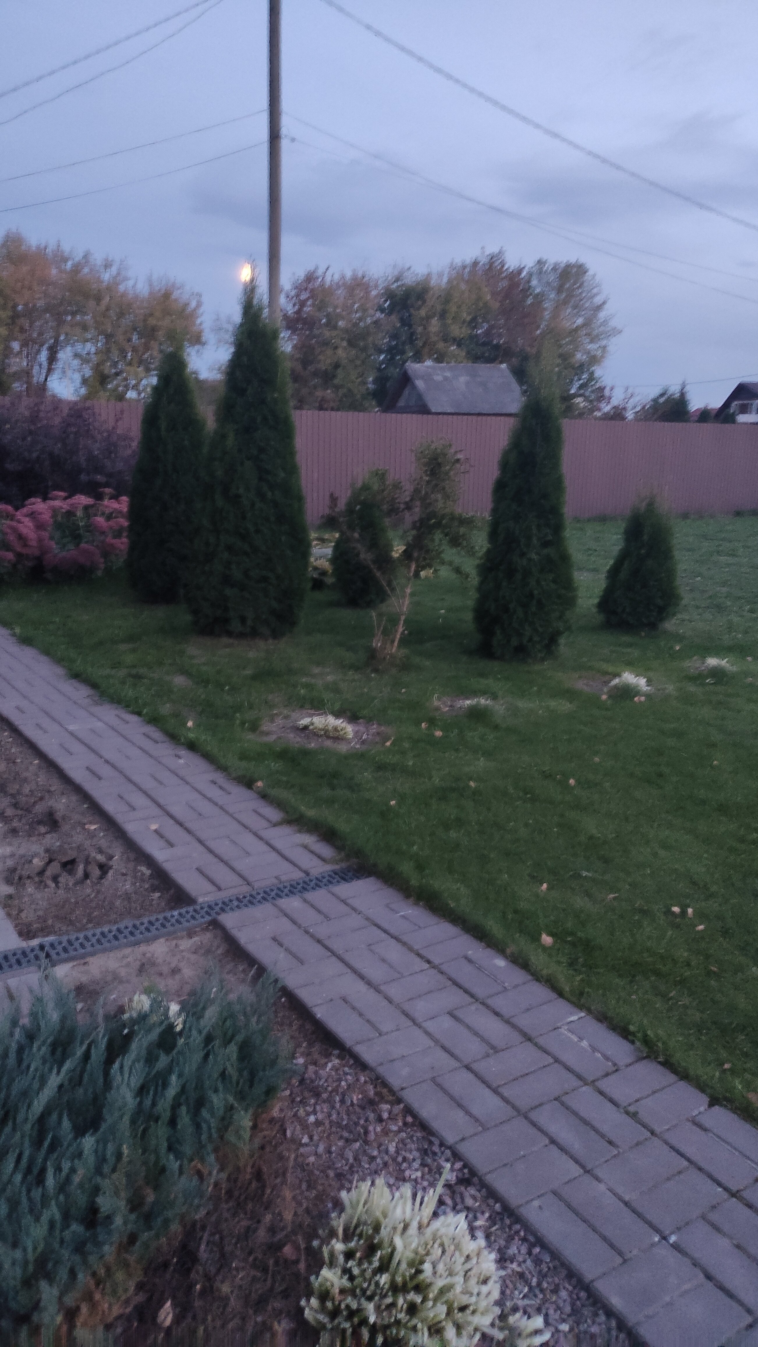 Фото Прибрежный