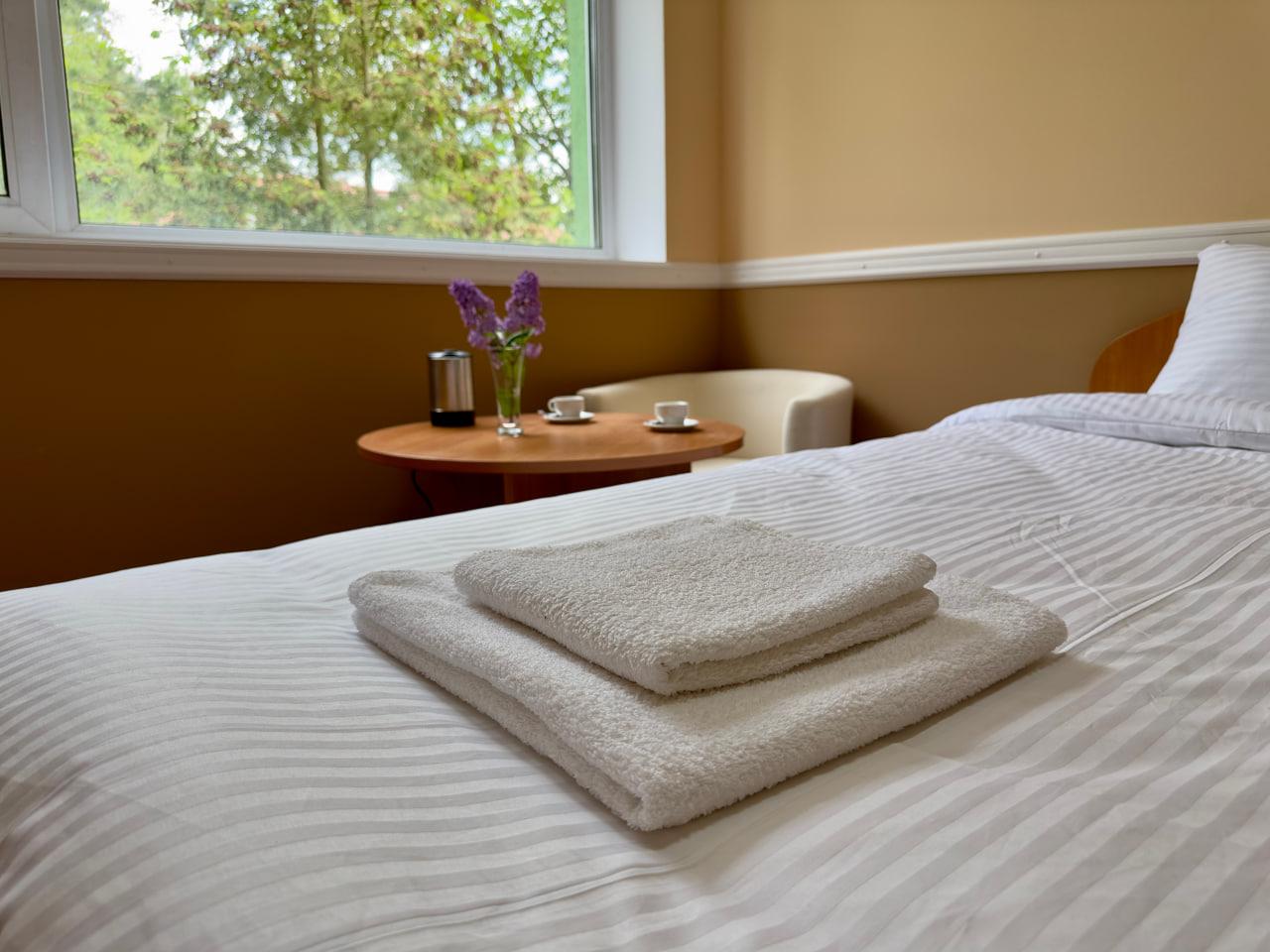 Фото Forest Relax