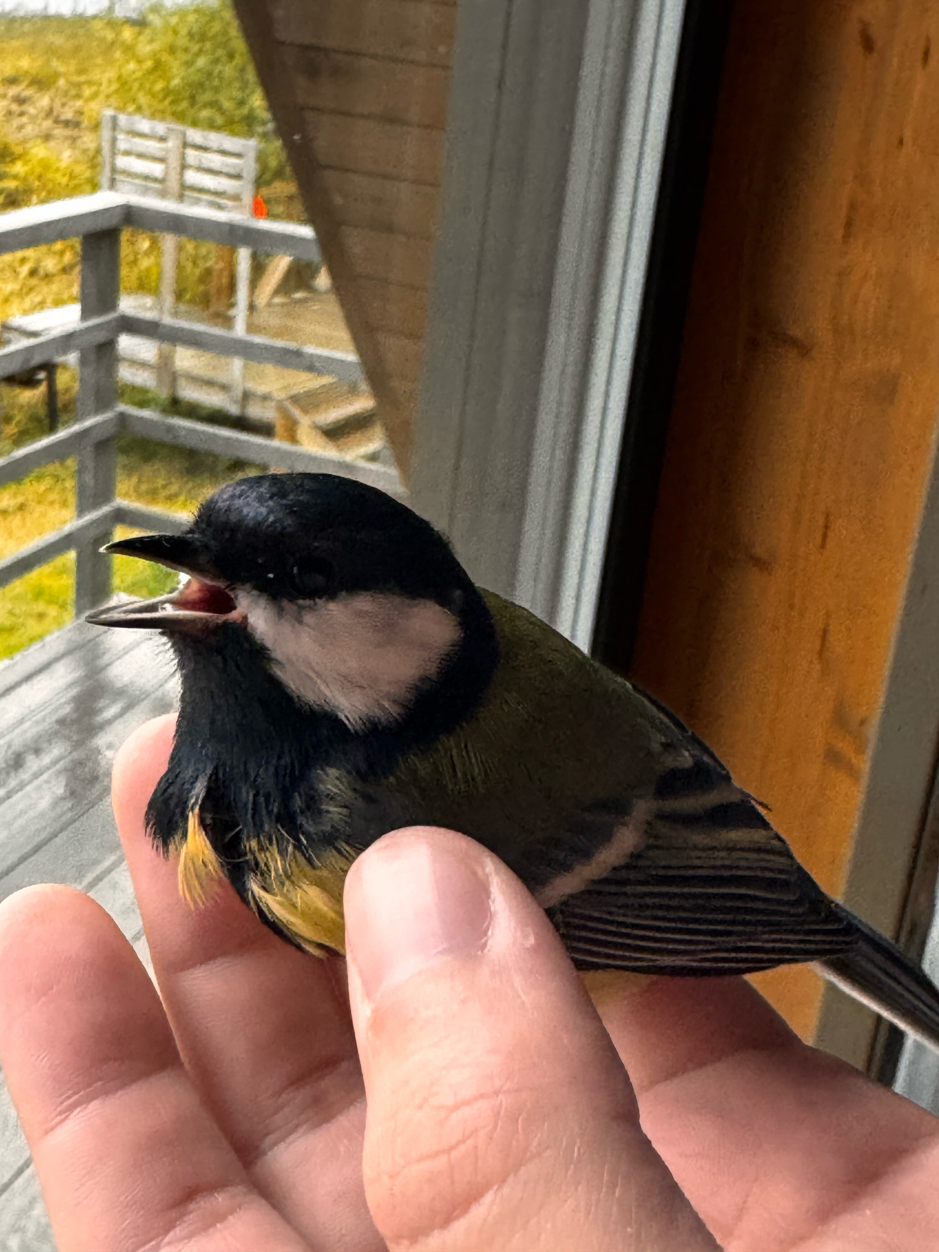 Фото Остров