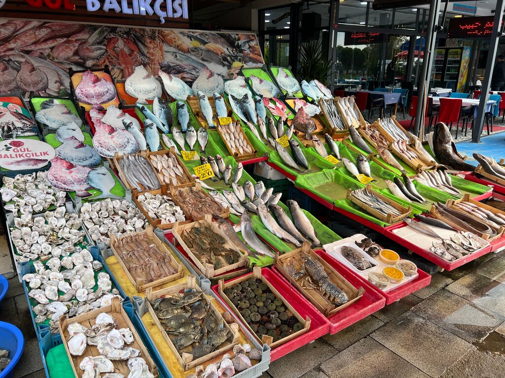 Fish and seafood Kumkapi Fishermen's Bazaar, Istanbul, photo