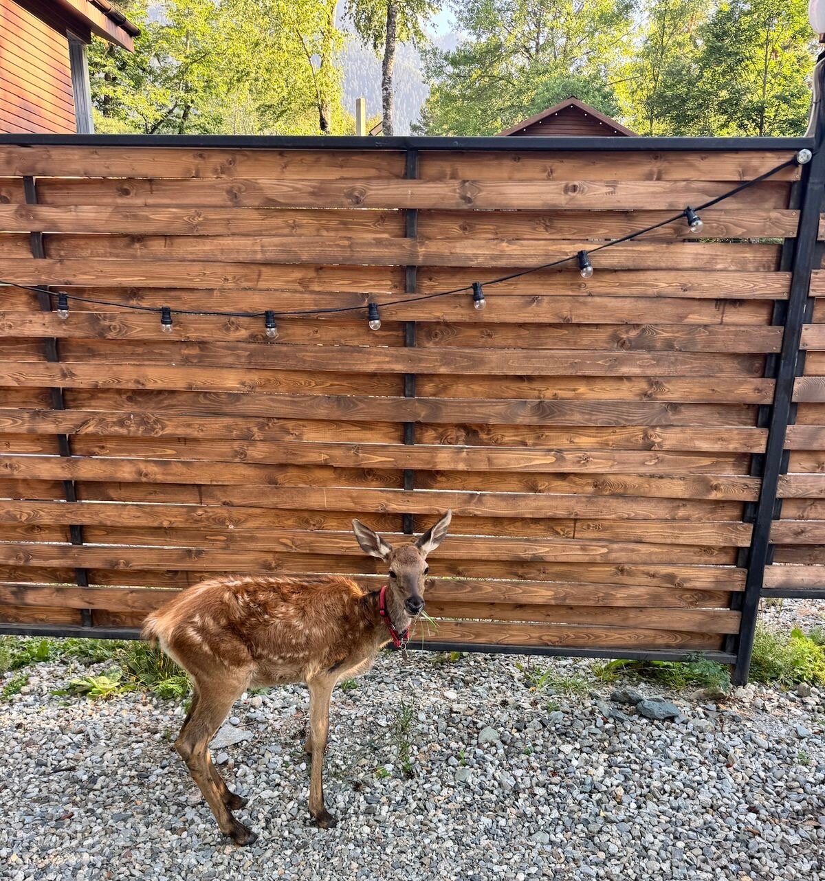 Фото Хижина лесника