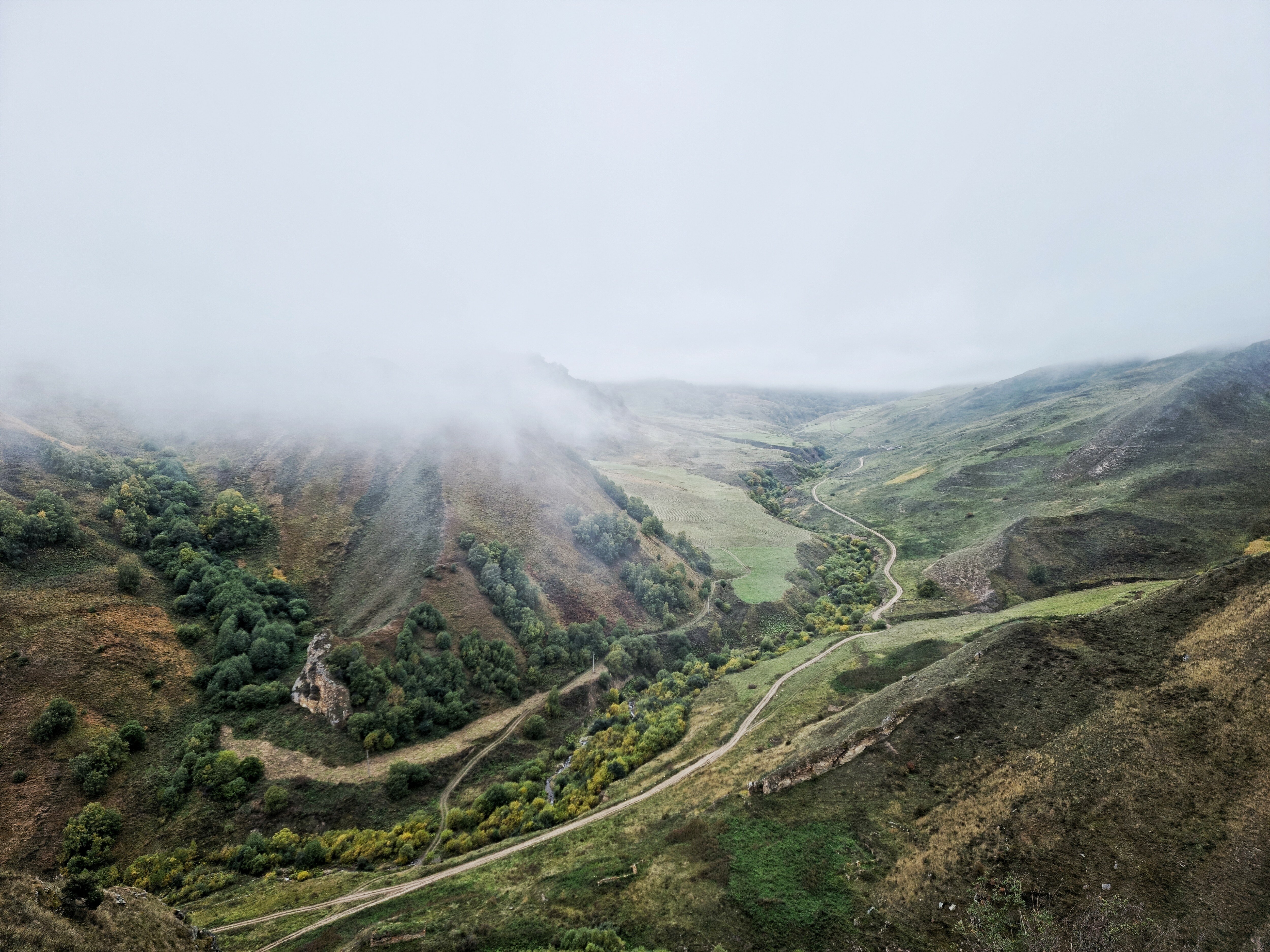 Фото Крокус