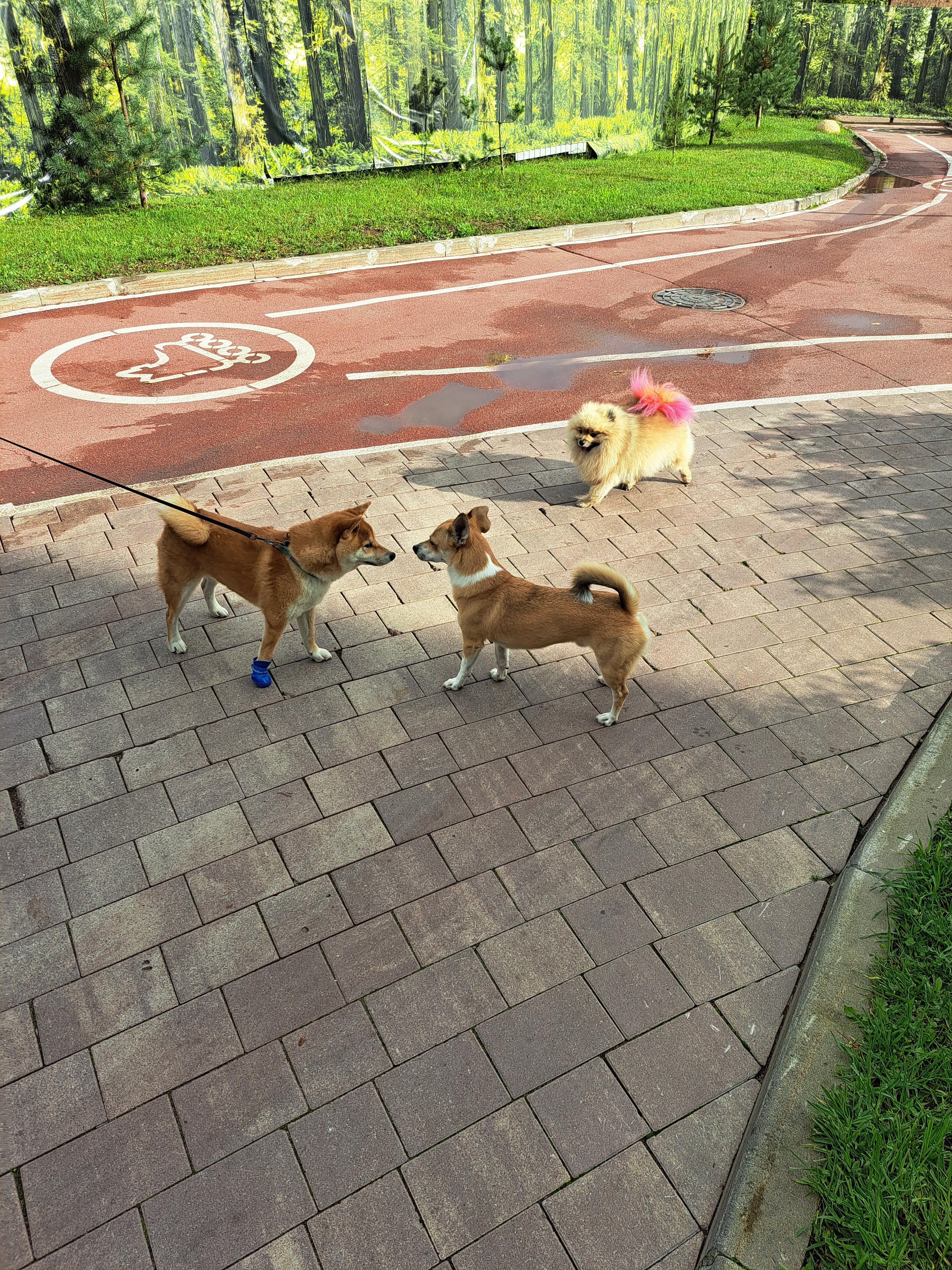 Фото Апартаменты Dafna & Josefina