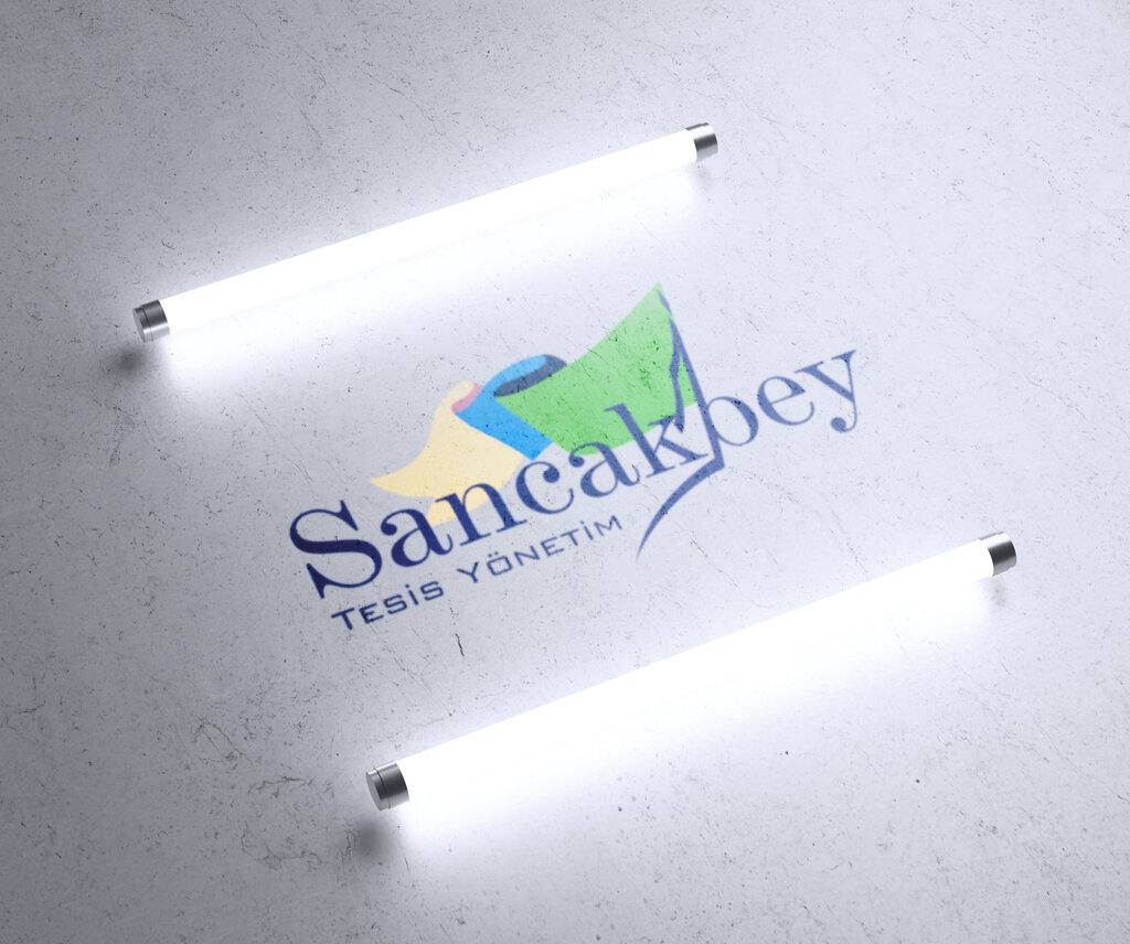Business consulting Sancakbey Facility Management, Istanbul, photo