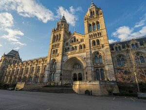 Гостиница Norfolk Towers Paddington Hotel