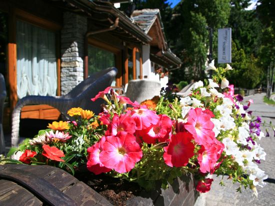 Фото Les Jumeaux