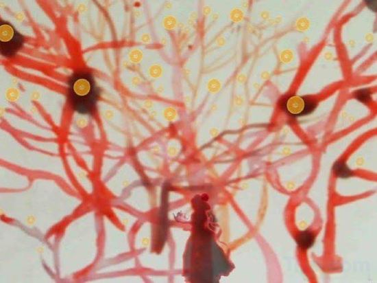 Фото Stay Hotel Lisboa Centro Saldanha