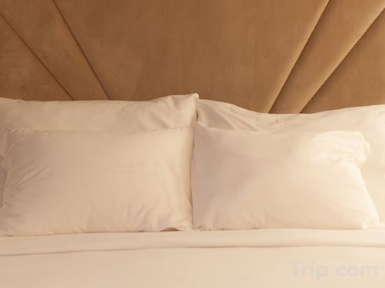 Фото Wine & Books Lisboa Hotel