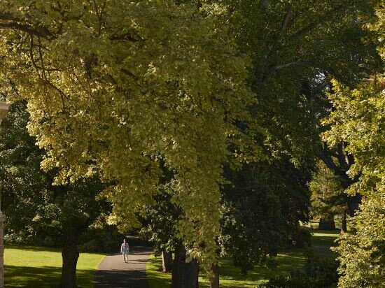 Фото The Tasman, a Luxury Collection Hotel, Hobart