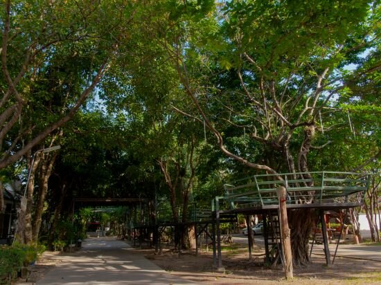 Фото Big Tree Resort