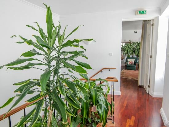 Фото Comercial Boutique Azores