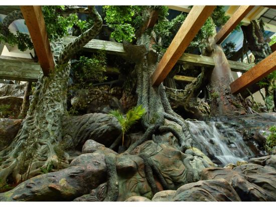 Фото Chandys Windy Woods