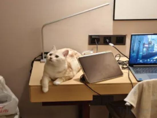 Фото Lavande Hotel Shenzhen International Convention and Exhibition Center