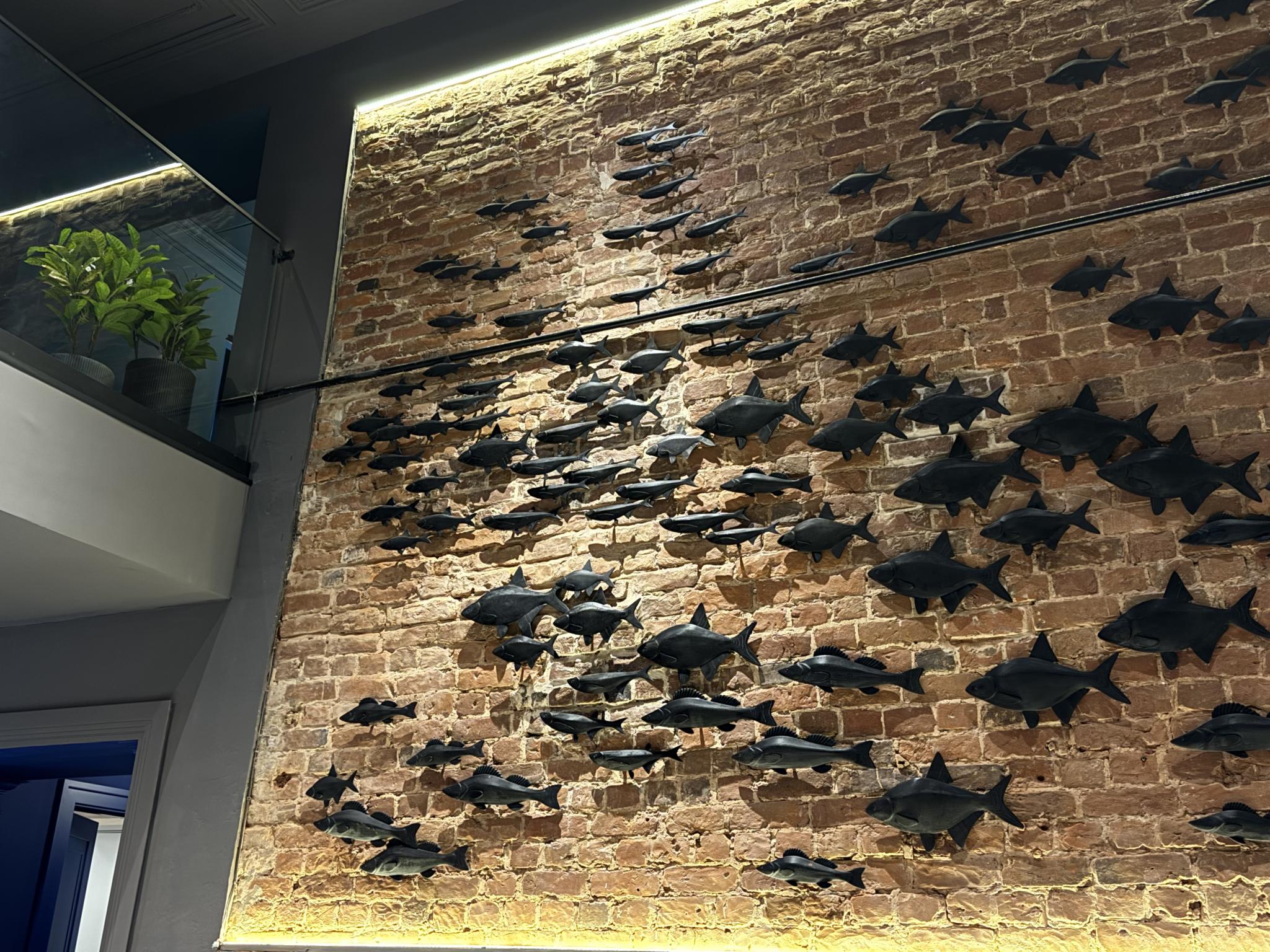 Фото Рыбные ряды