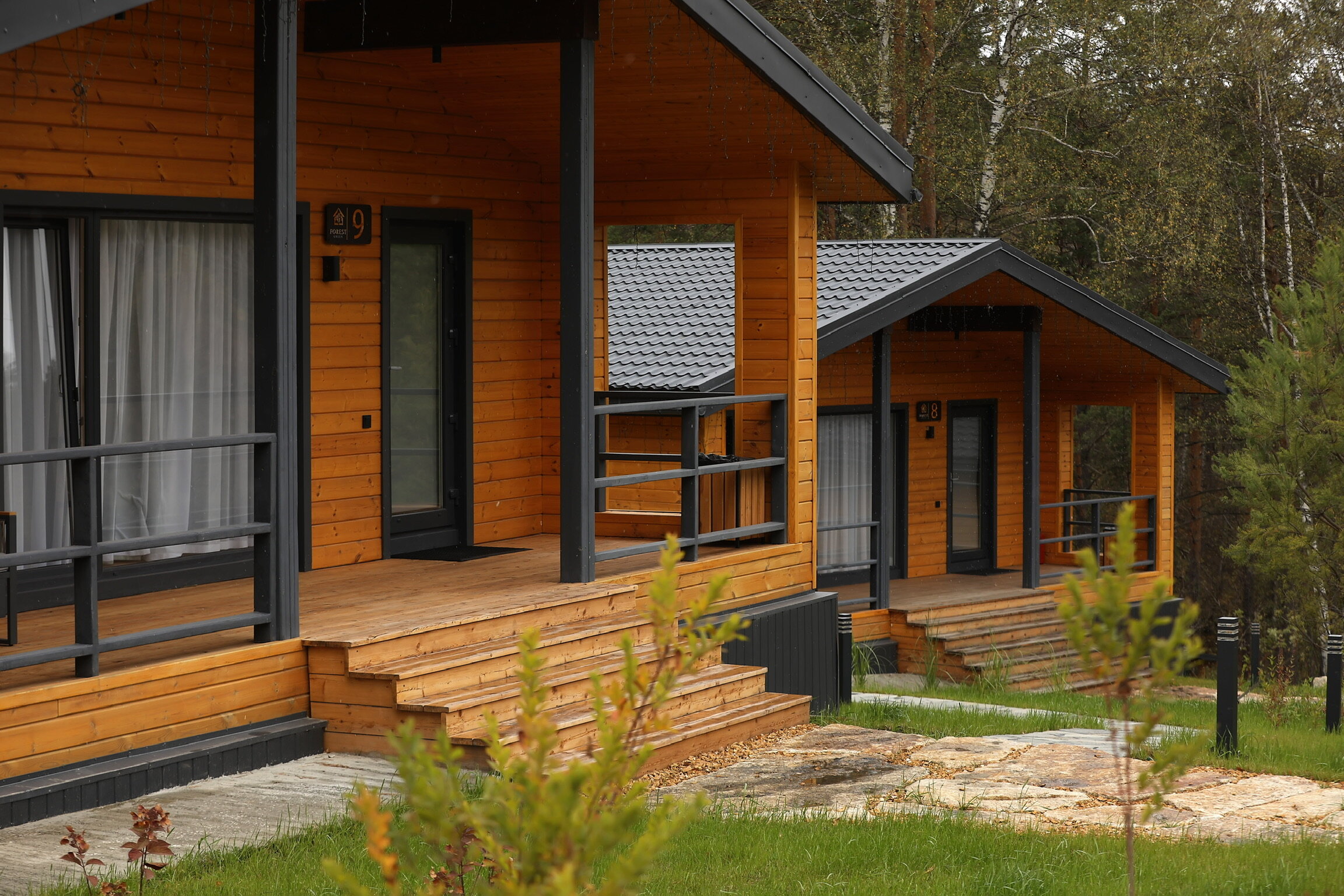 Фото Forest Green