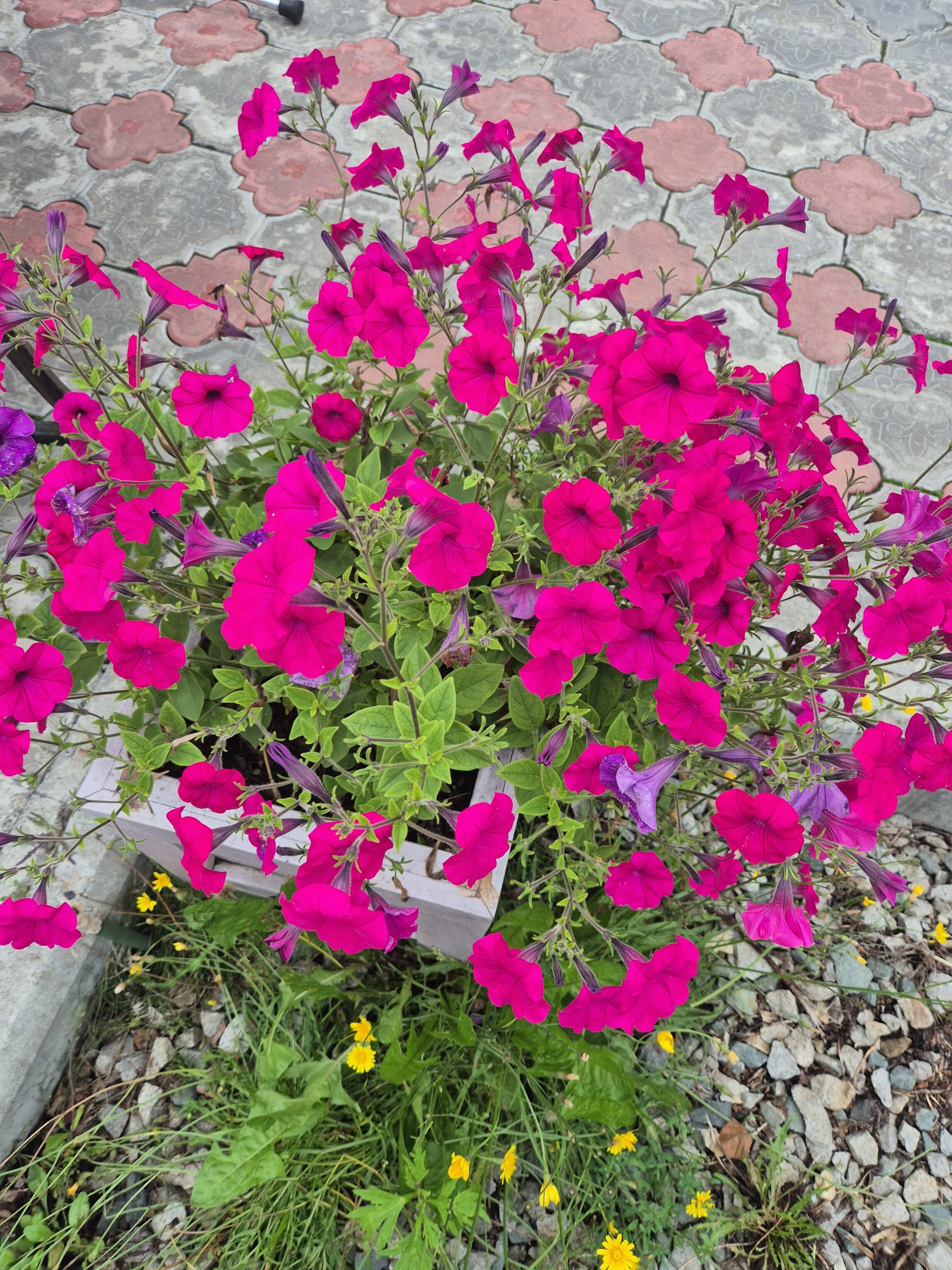 Фото Паратунка