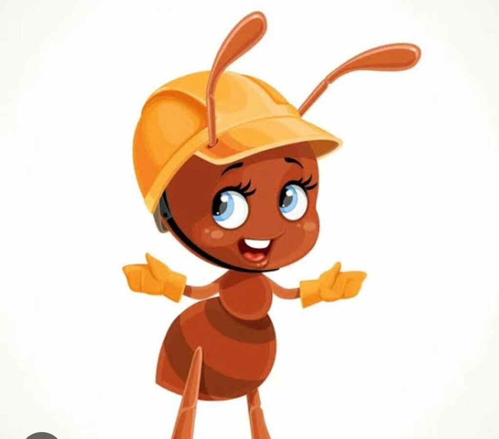 Household goods and chemicals shop Муравей, Primorsky Krai, photo